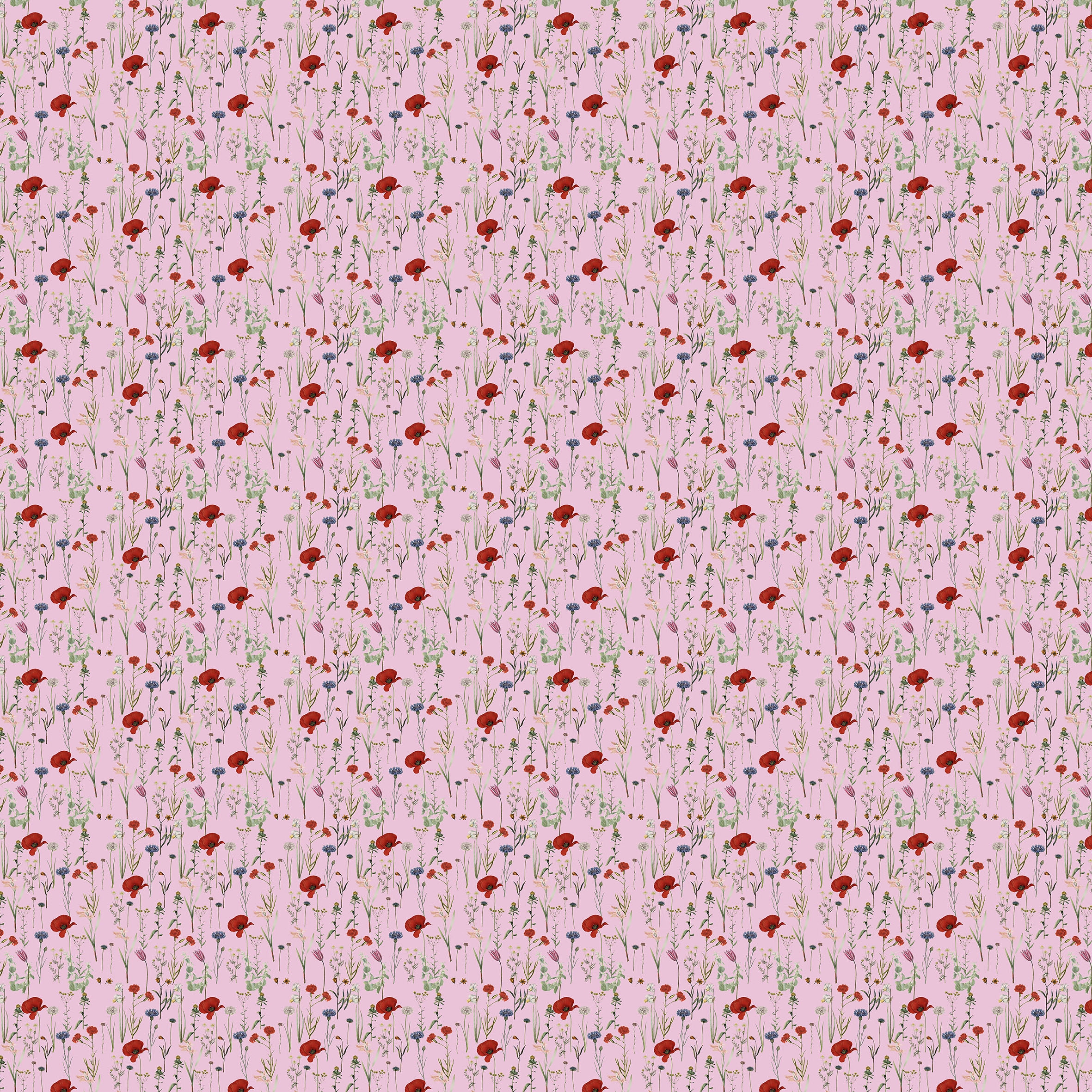 Mostra il prodotto Pattern design | Freshness Pink del produttore Officinarkitettura