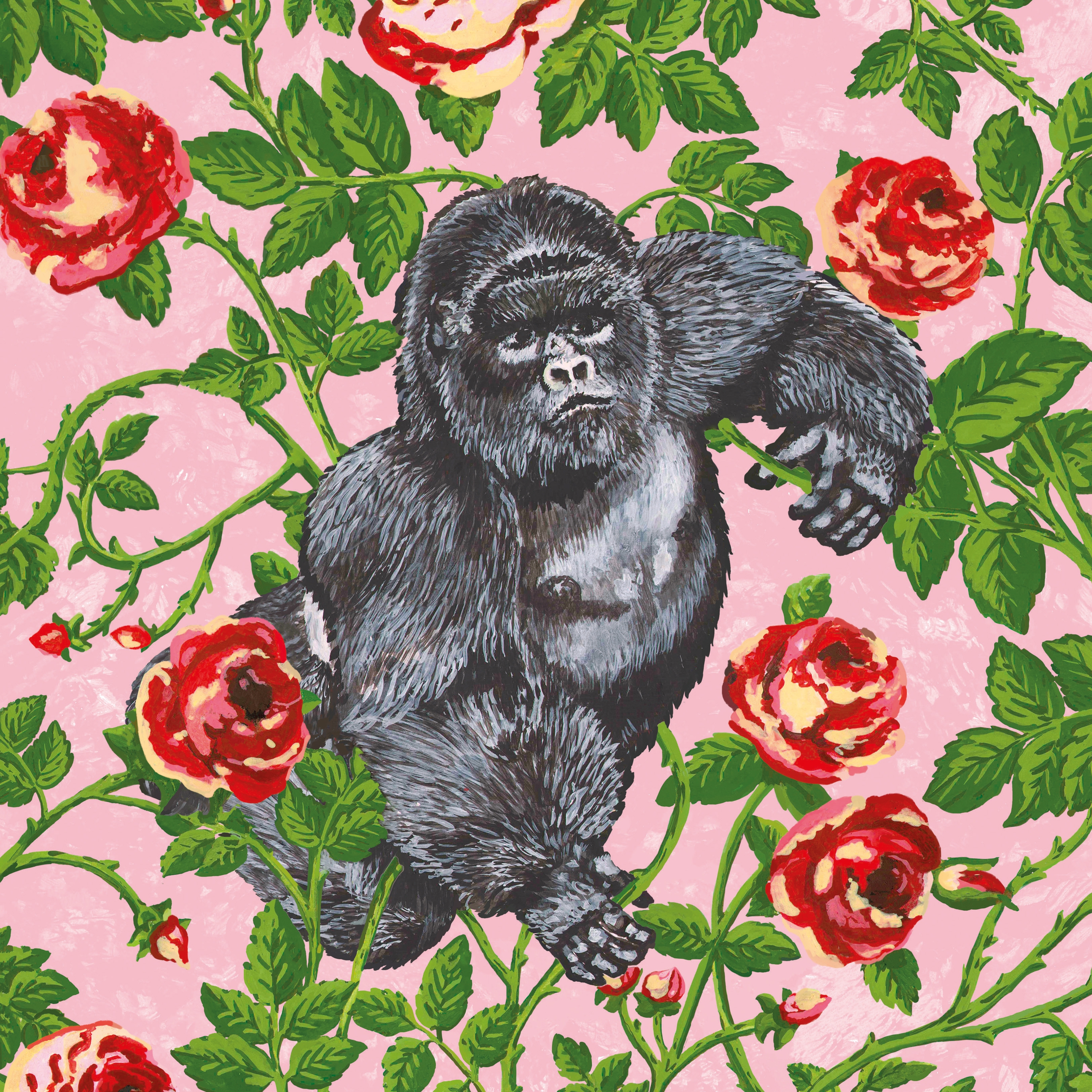 Simone Guidarelli® | King of the Roses Powder Rose
