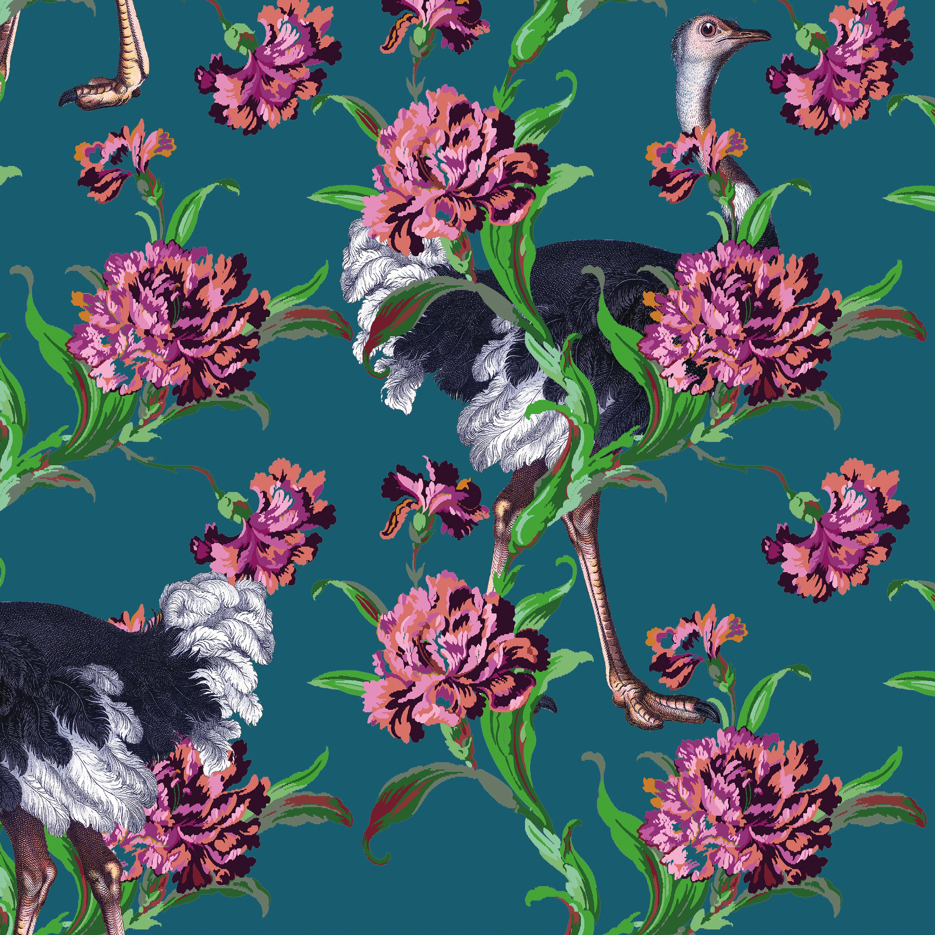 Mostra il prodotto Simone Guidarelli® | Ostriches Ottanio Teel del produttore Officinarkitettura