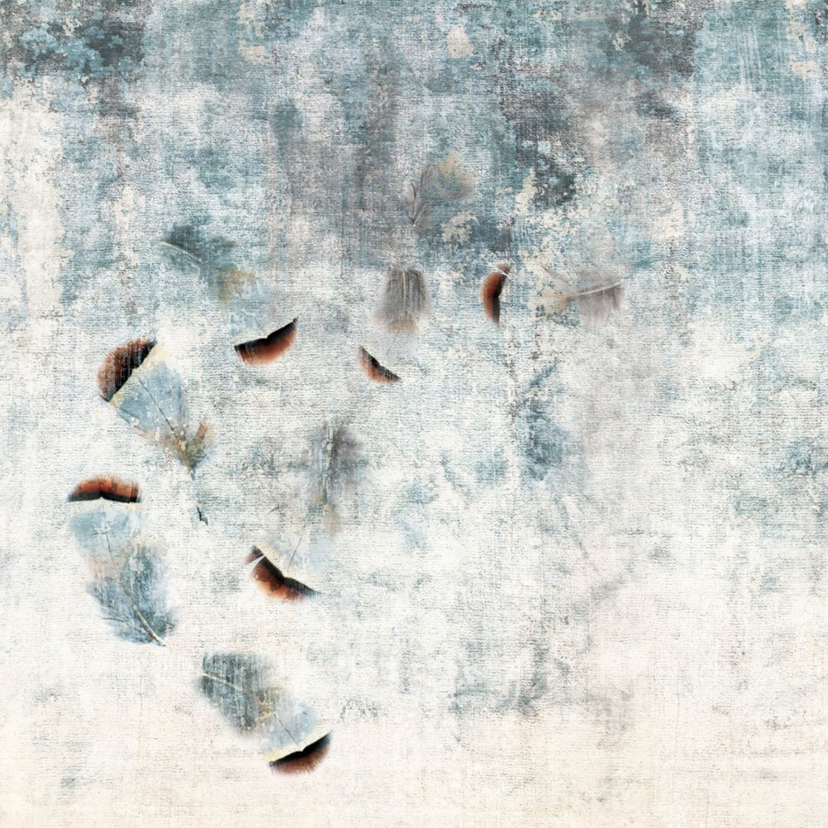 Mostra il prodotto Trame | Feathers del produttore Officinarkitettura