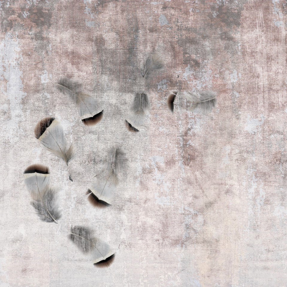 Trame | Pink Feathers