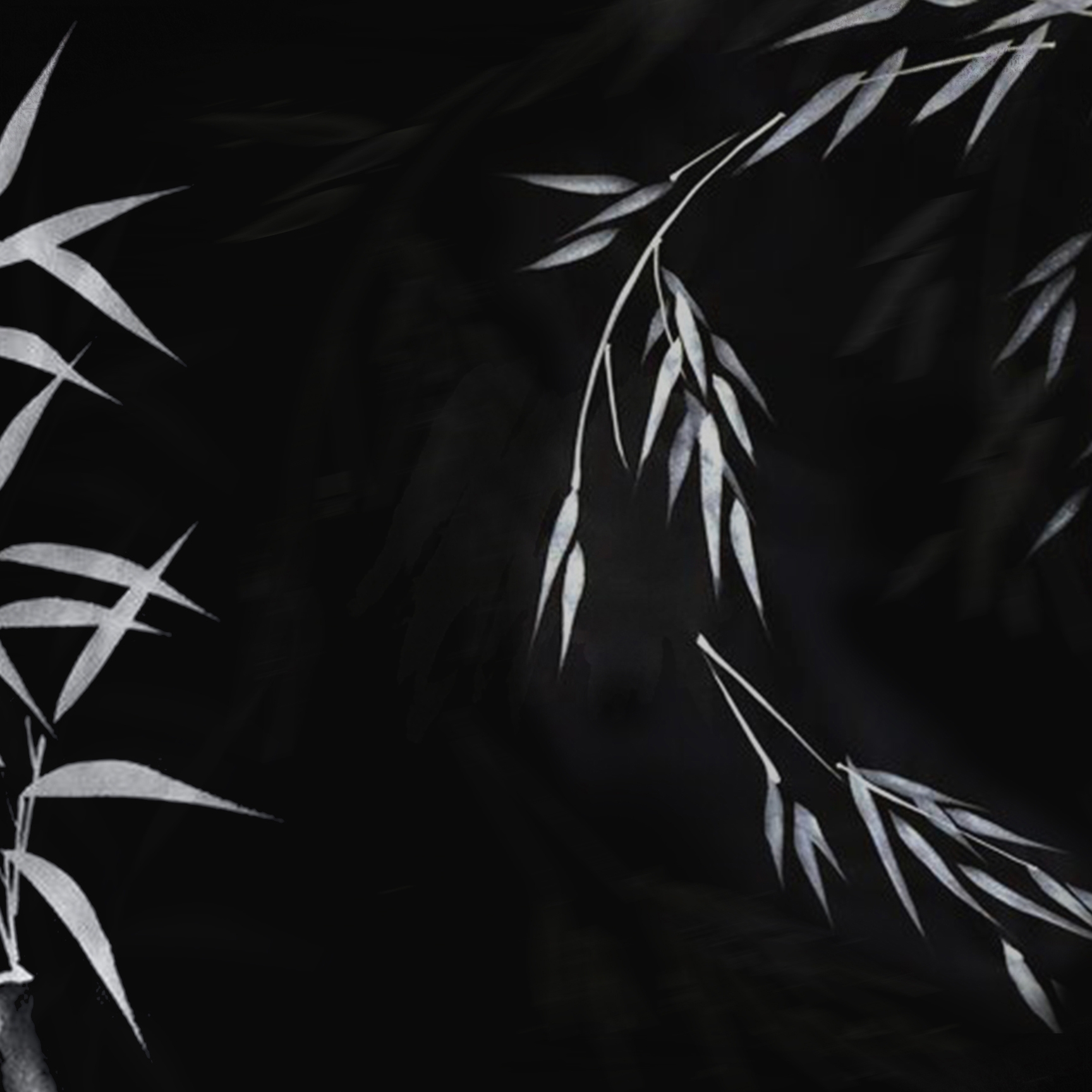 Afficher le produit White Row | Bamboo du fabricant Officinarkitettura