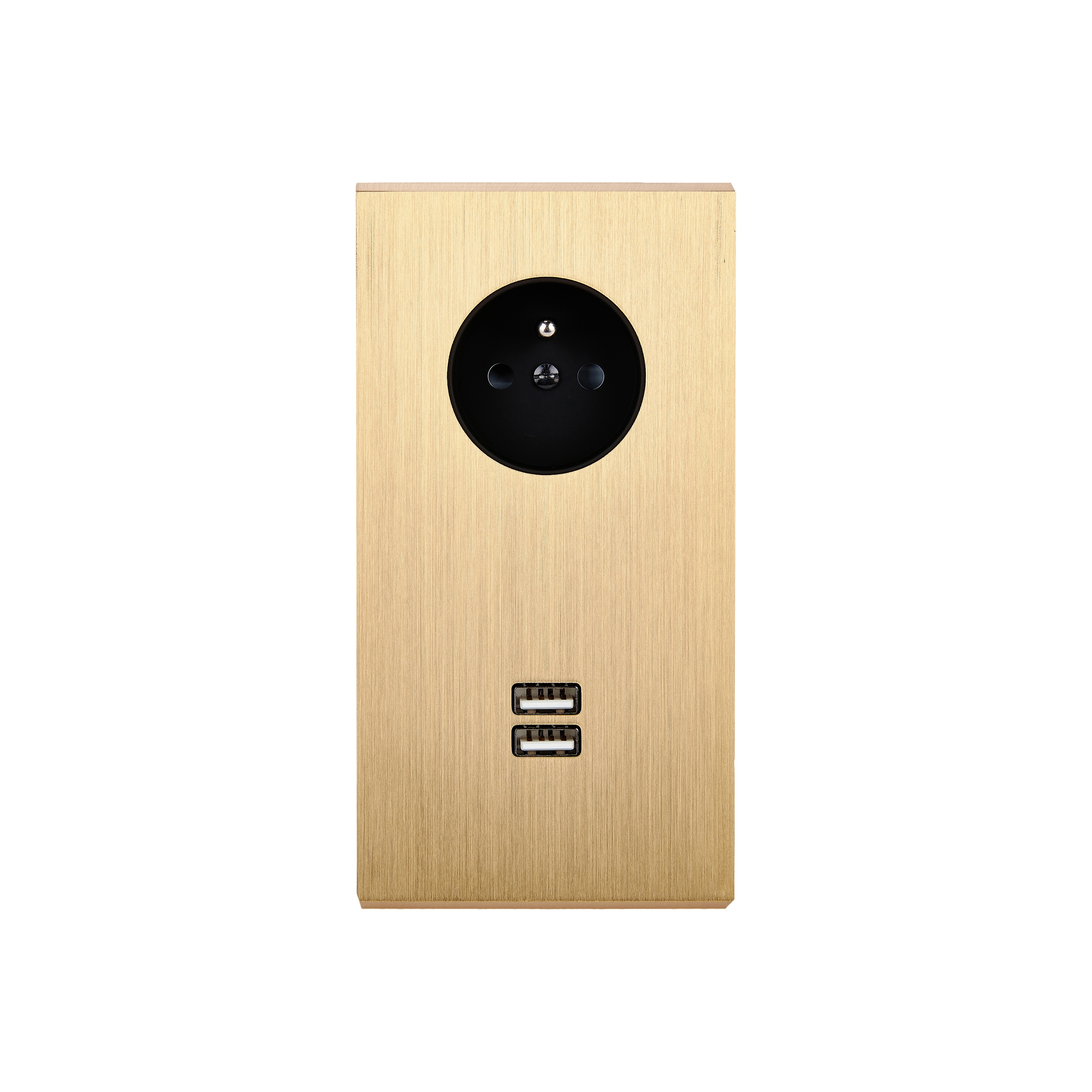 Display product Brushed Brass - Double vertical cover plate - 1 Socket - 1 double USB charger slot from manufacturer Modelec