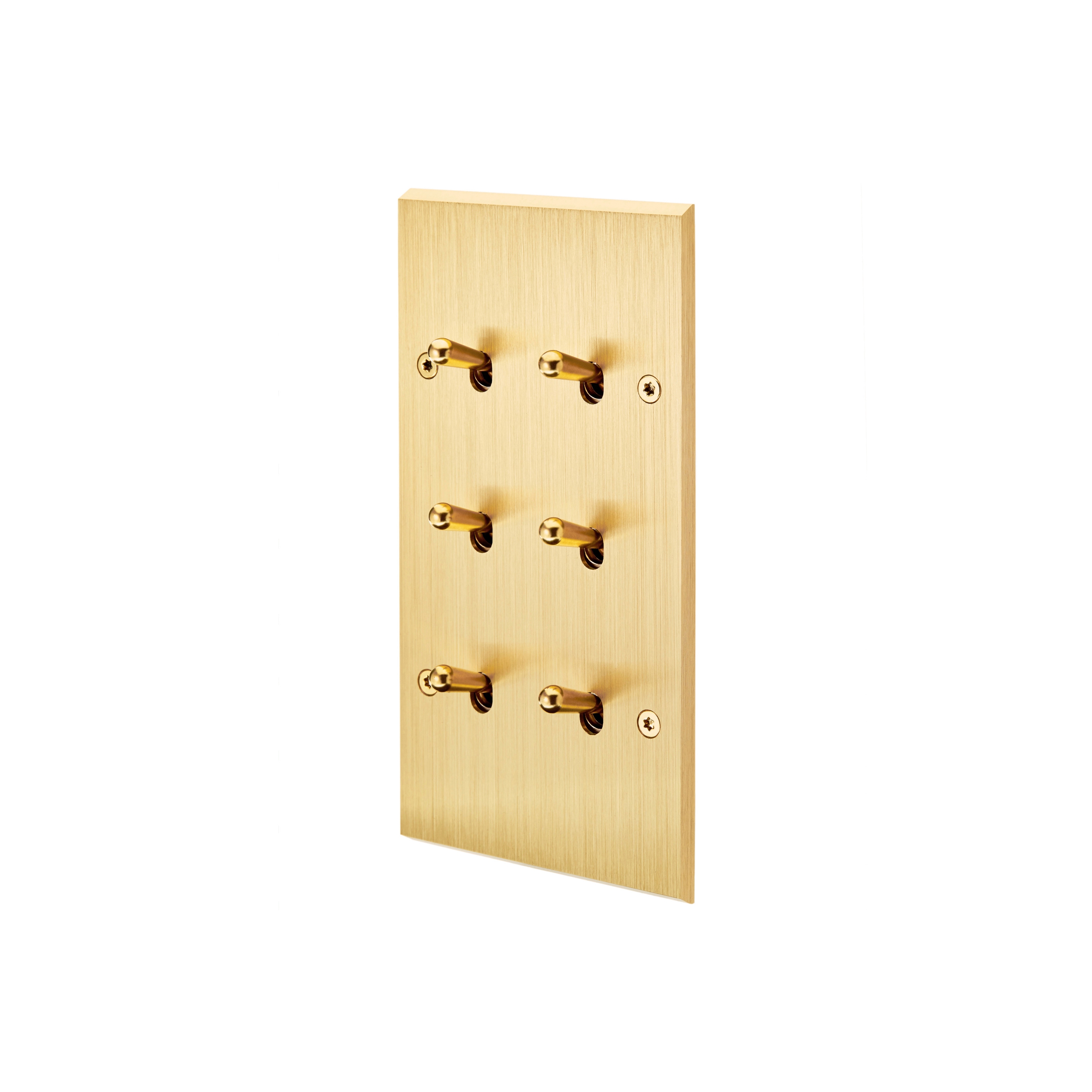 Afficher le produit Laiton Brossé - Plaque Double Verticale - 6 Leviers du fabricant Modelec