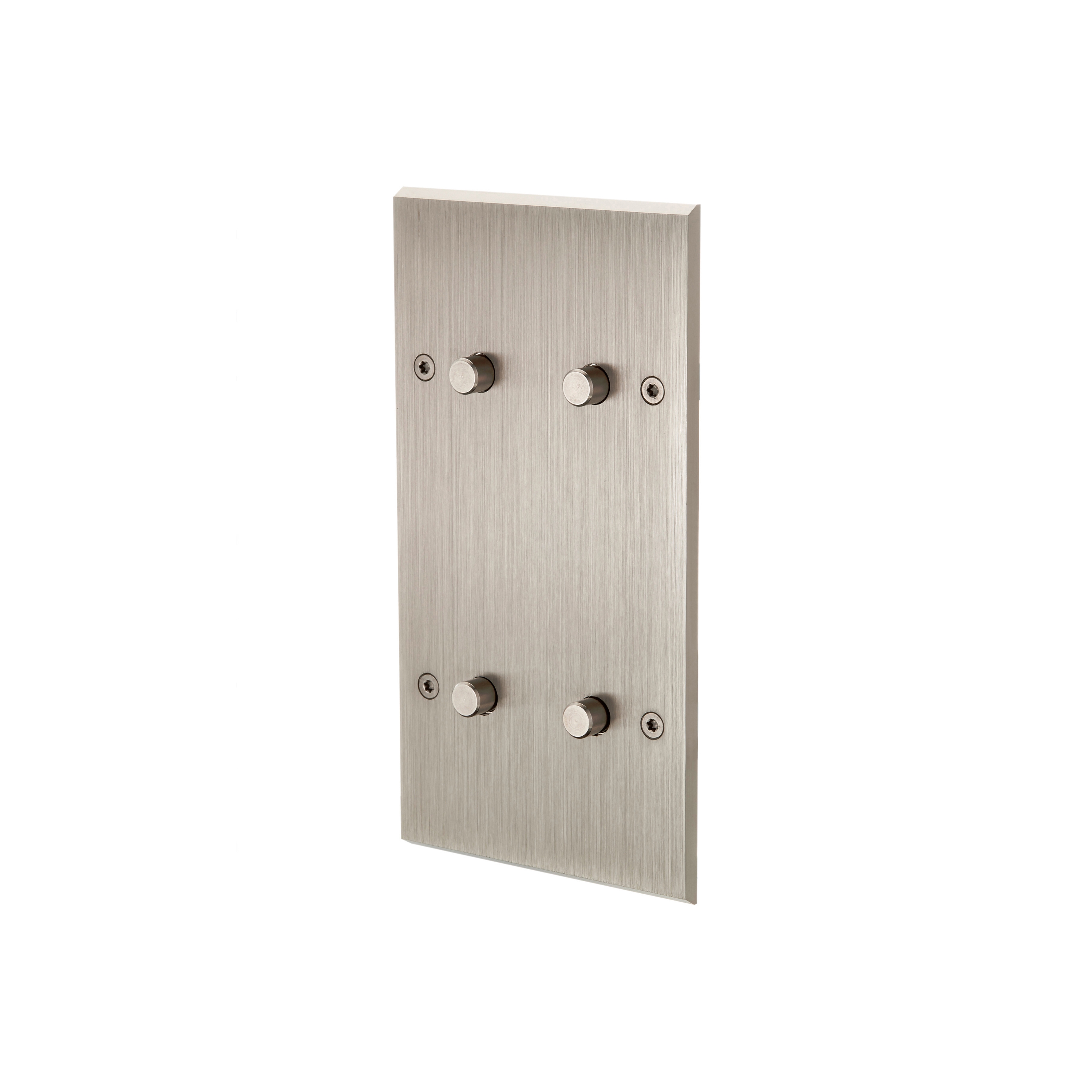 Mostra il prodotto Brushed Steel - Double Vertical Cover Plate - 4 PUSH del produttore Modelec
