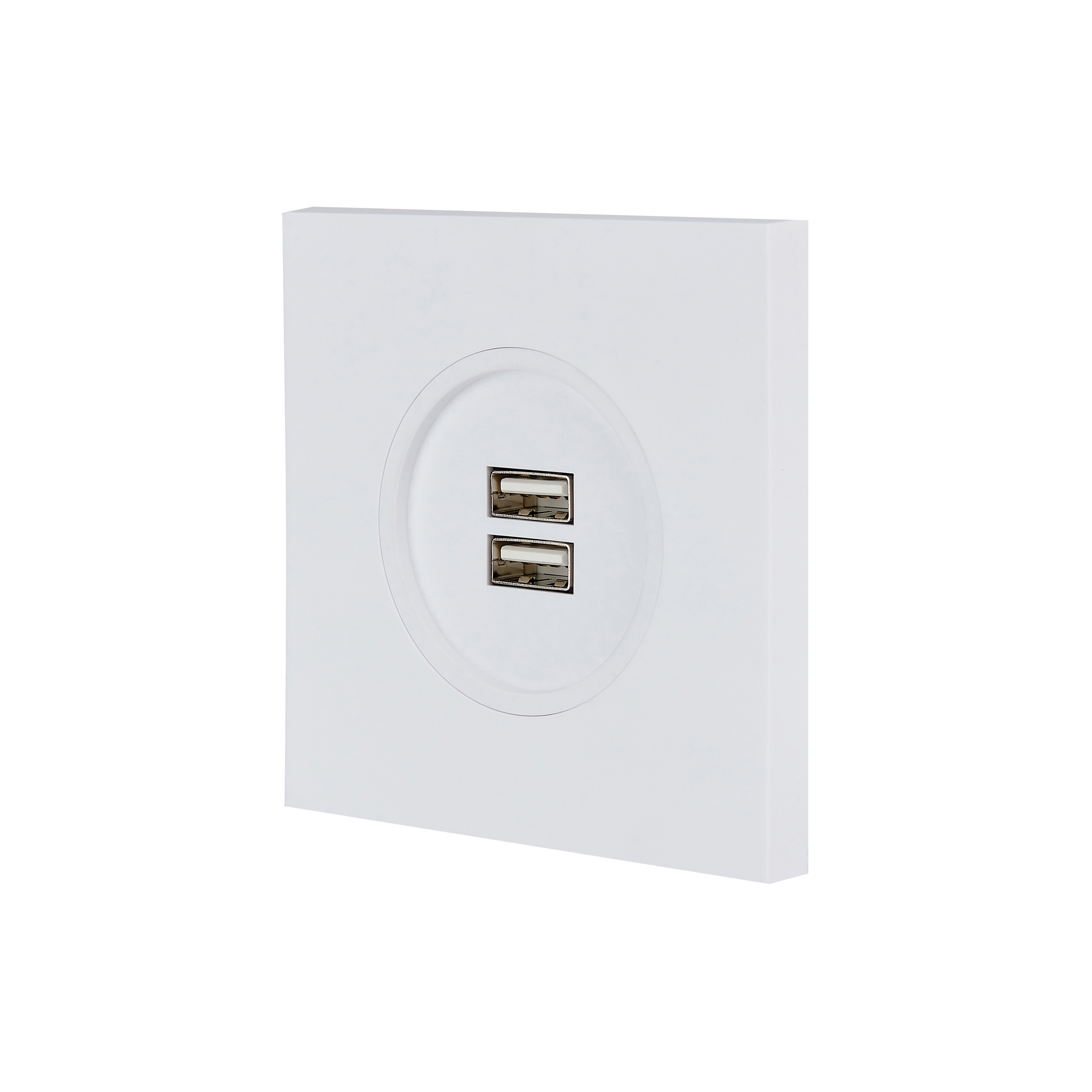 Display product White Soft Touch - Single Cover Plate - 2 USB A from manufacturer Modelec