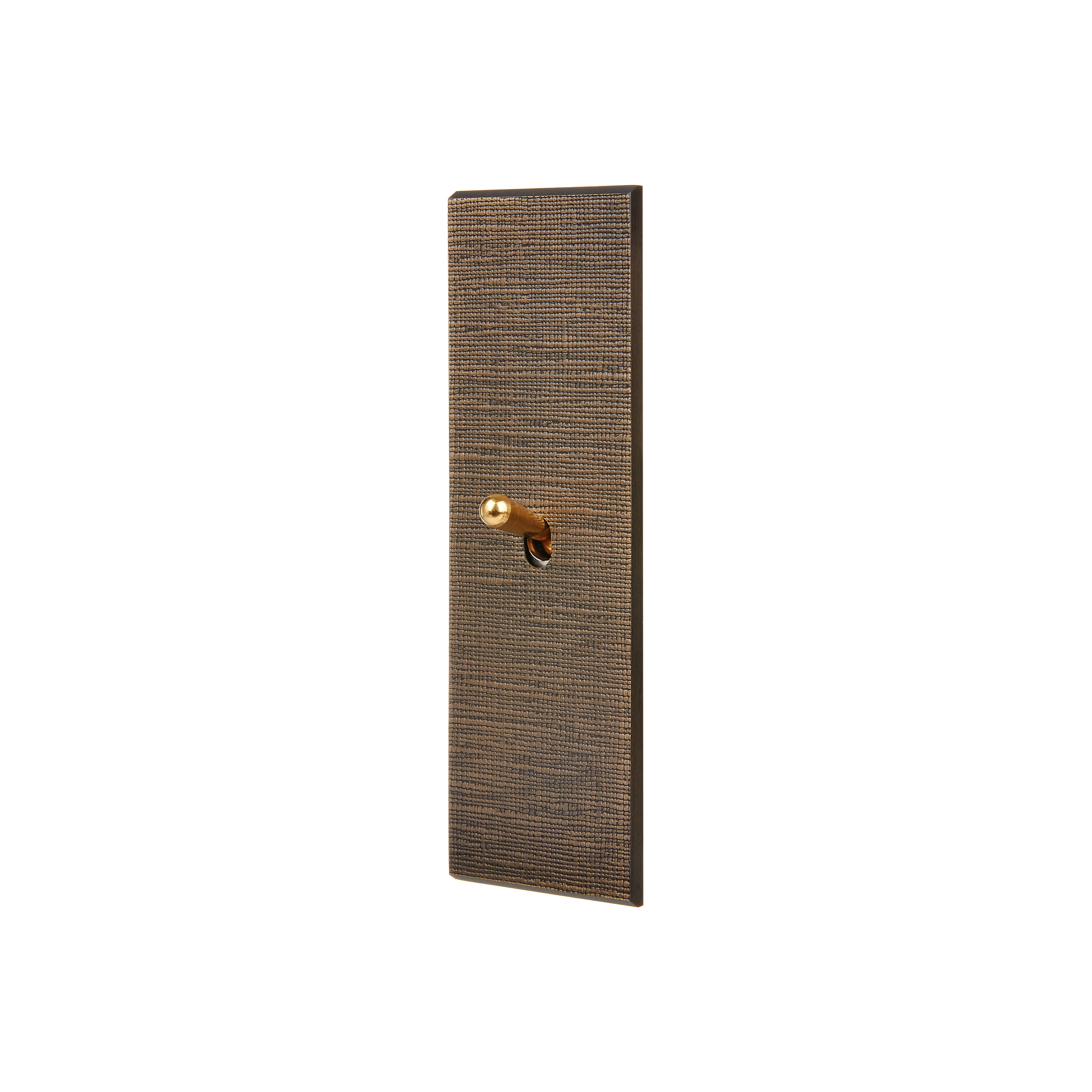 Afficher le produit Coslan - Plaque Simple Etroite Longue - 1 levier du fabricant Modelec