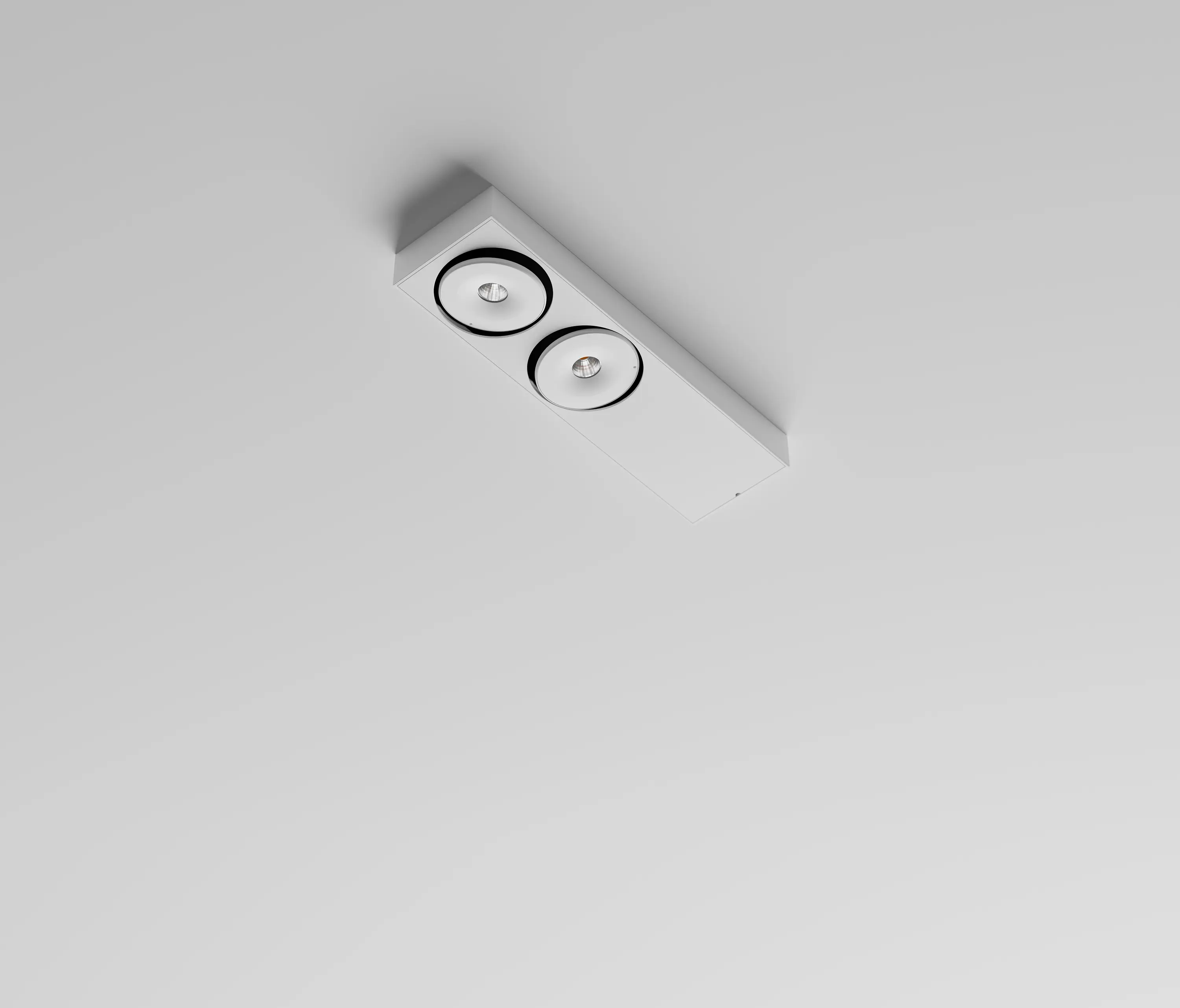 Labra - Opta Disk | X2 NT