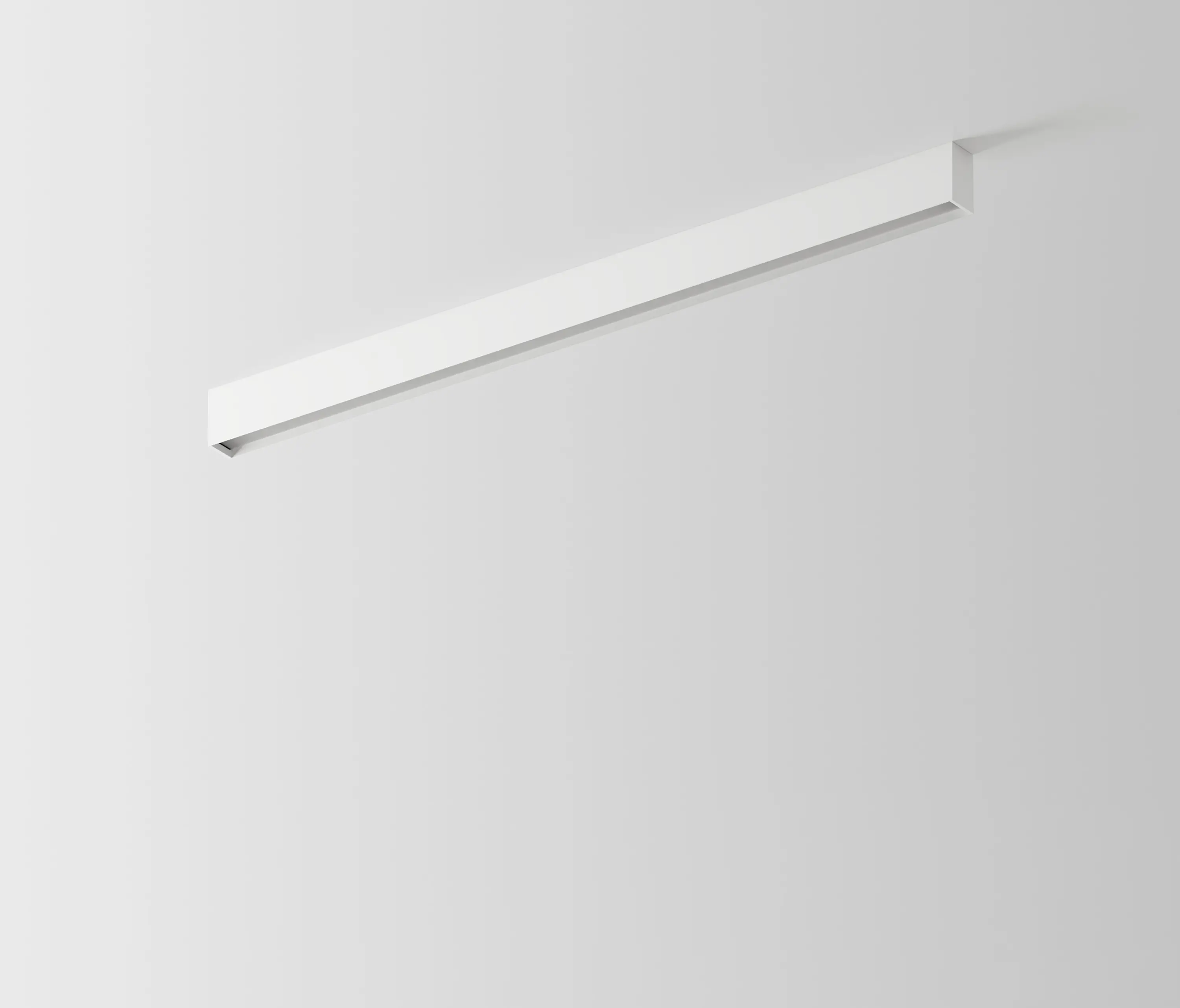 Labra - Ray Evo Set | Lightline NT
