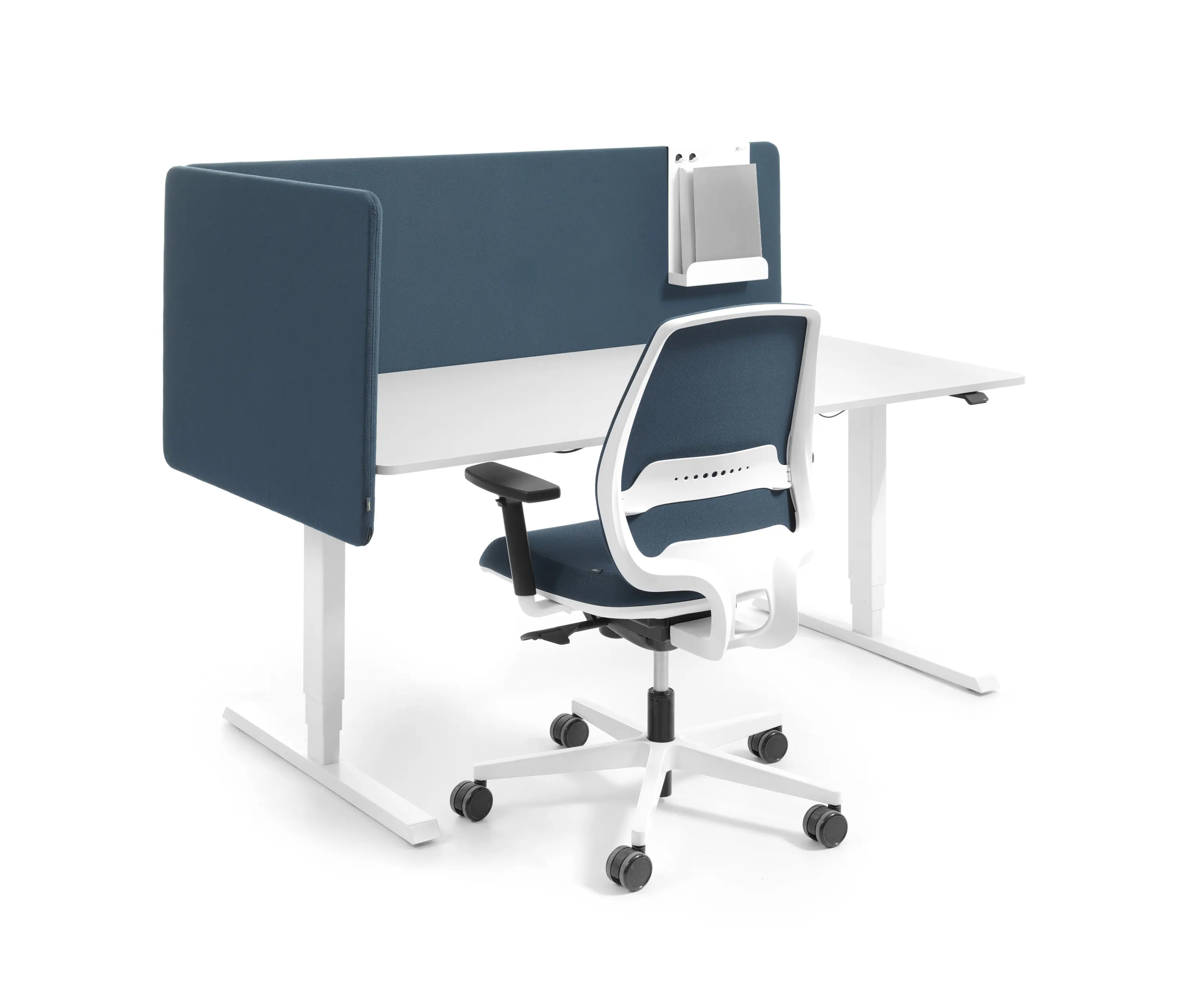Bejot - Selva | desk