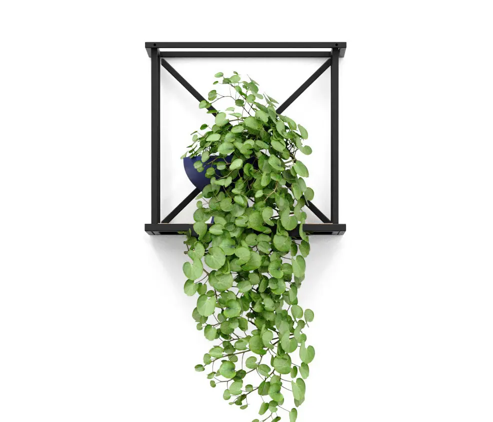 Bejot - Saar | modules hang set1