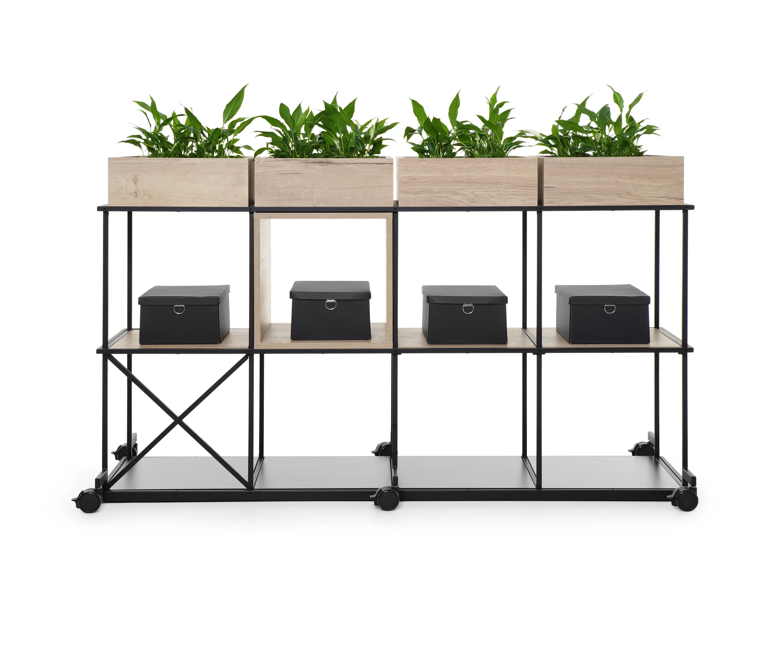Bejot - Saar | sets on castors 4x2