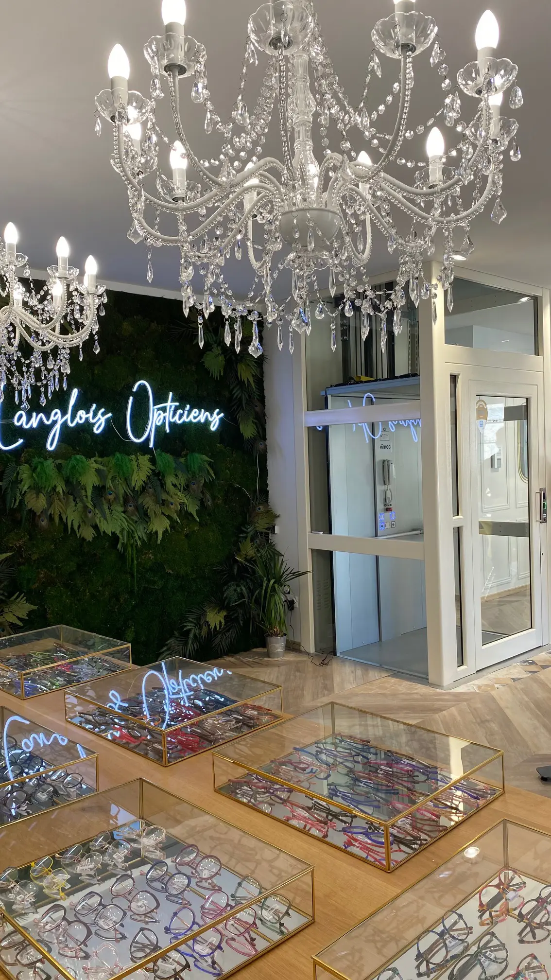 Vimec Srl - Hydraulic elevator EASYMOVE