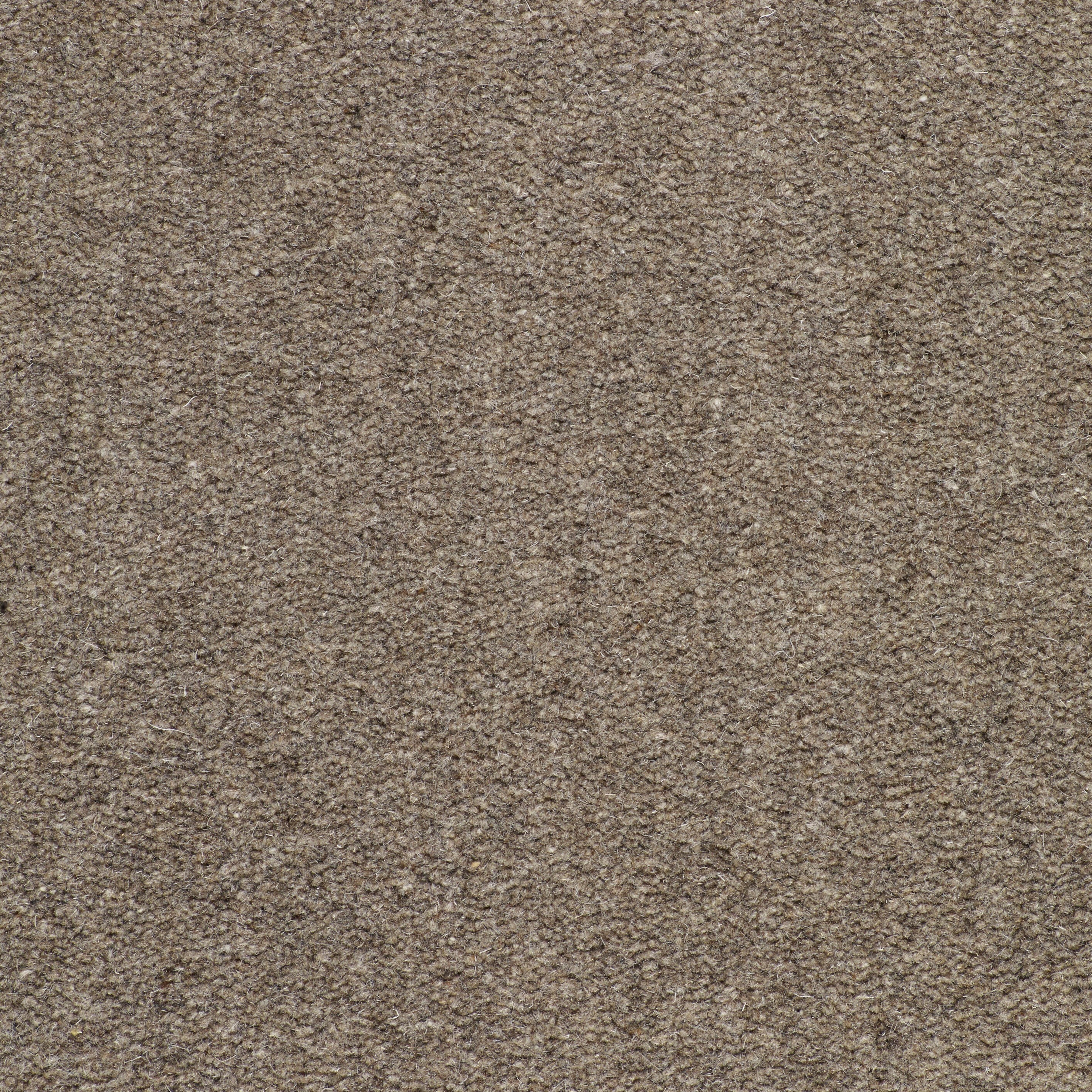 Display product Fat Cat Fur from manufacturer Monasch by Best Wool
