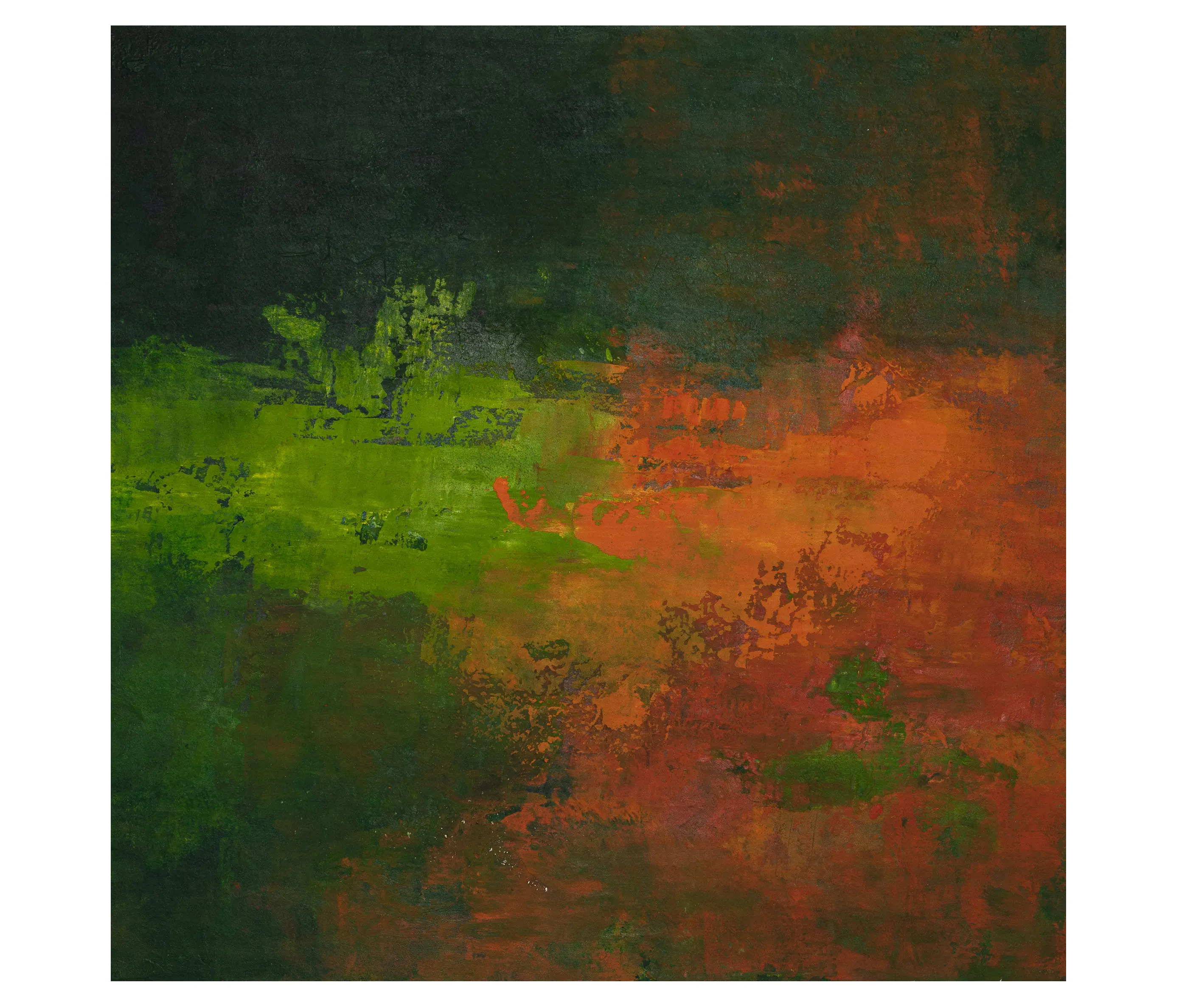 NOVOCUADRO ART COMPANY - Daintree Forest