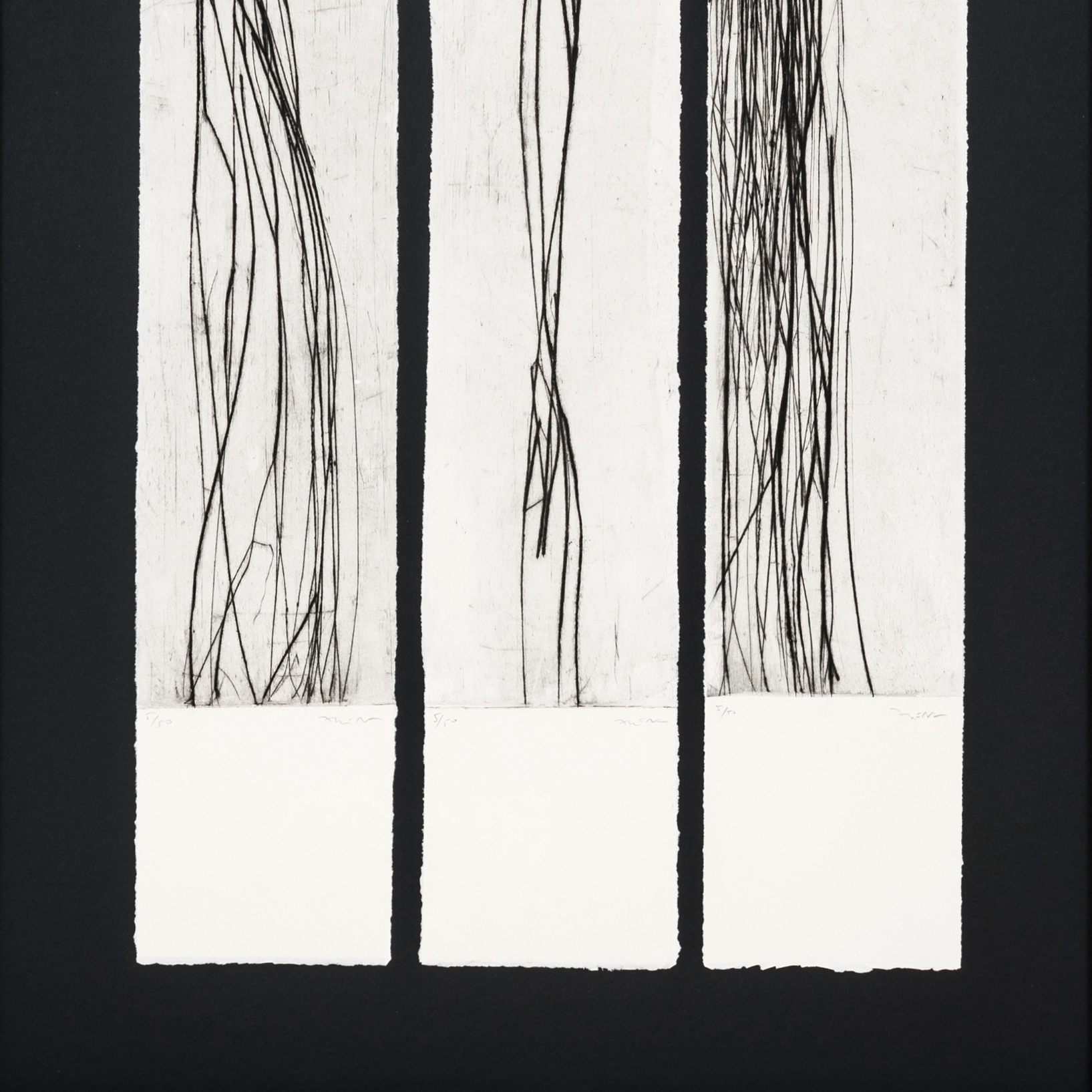 Mostra il prodotto Negro Sangre V ( I ) del produttore NOVOCUADRO ART COMPANY