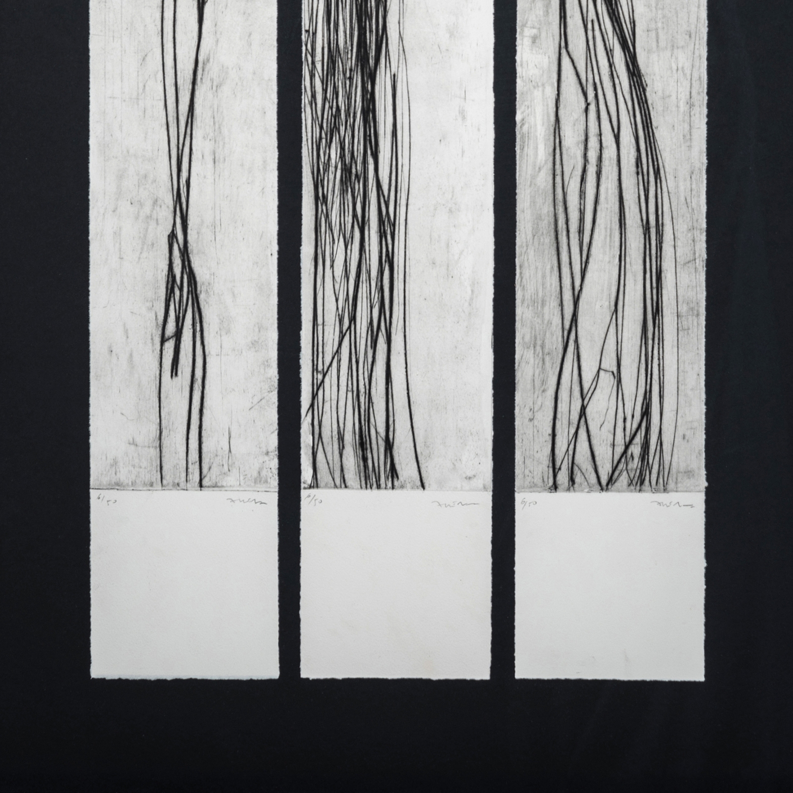 Display product Negro Sangre V ( II ) from manufacturer NOVOCUADRO ART COMPANY