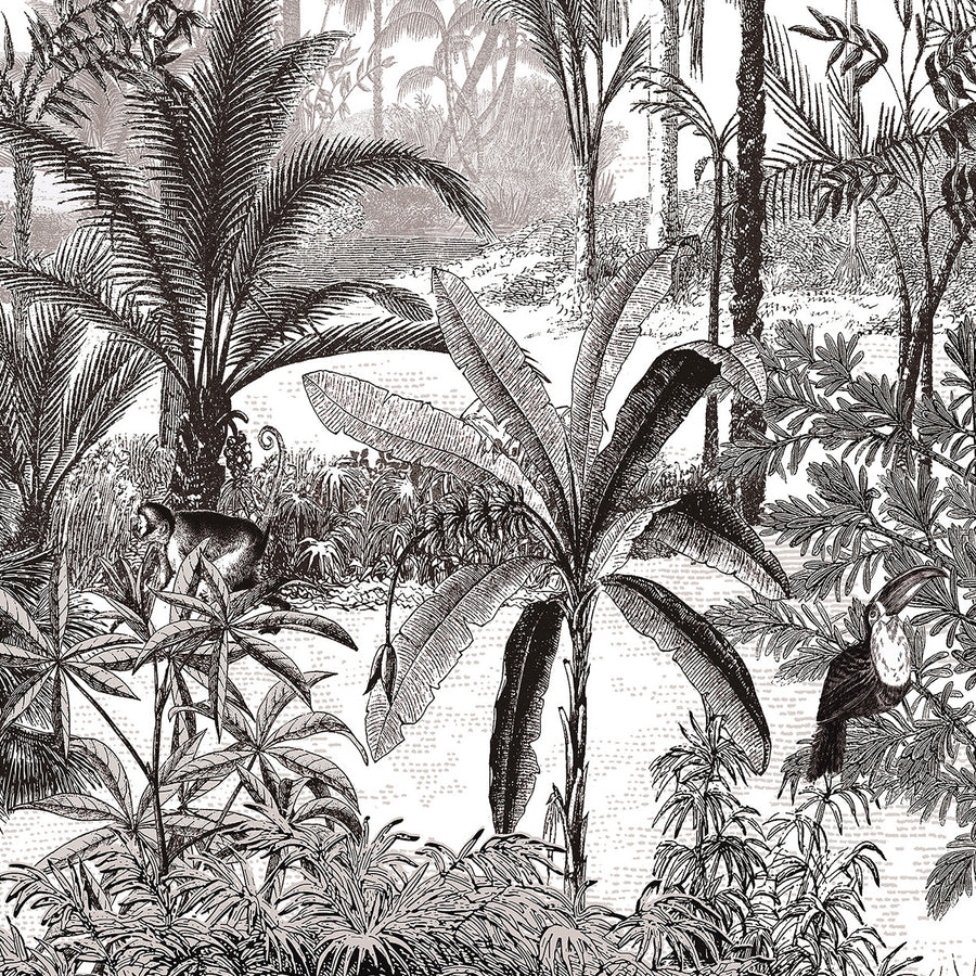 Afficher le produit Amazone Acajou du fabricant ISIDORE LEROY