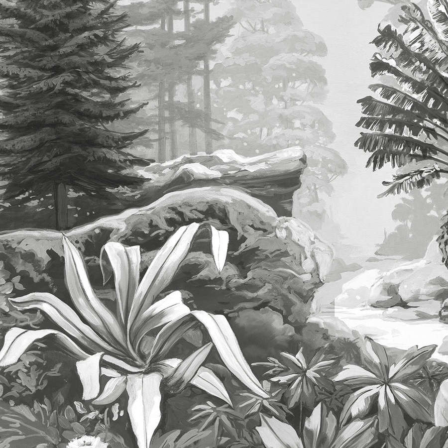 Firone Grisaille