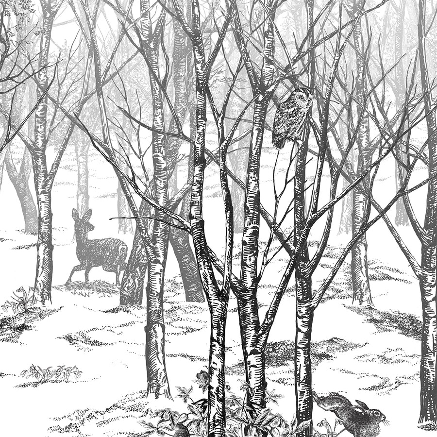 Display product Foret Enchantee from manufacturer ISIDORE LEROY