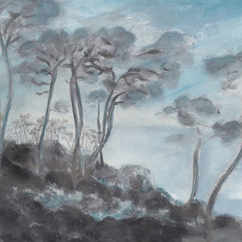 Les Landes Hiver