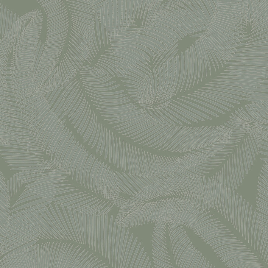 Display product Plumes Anthracite from manufacturer ISIDORE LEROY