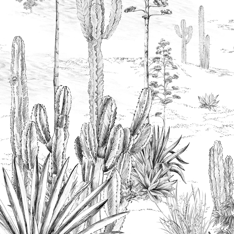 Display product Succulentes Grisaille from manufacturer ISIDORE LEROY