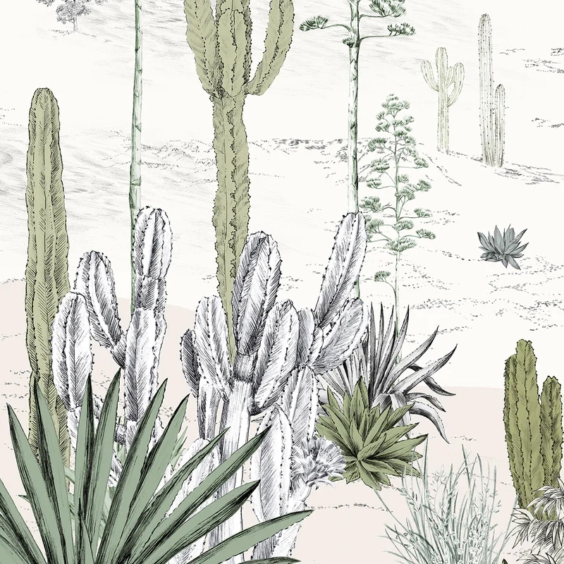 Display product Succulentes Naturel from manufacturer ISIDORE LEROY
