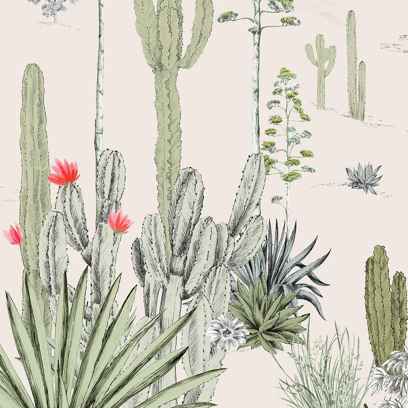 Display product Succulentes Pastel from manufacturer ISIDORE LEROY