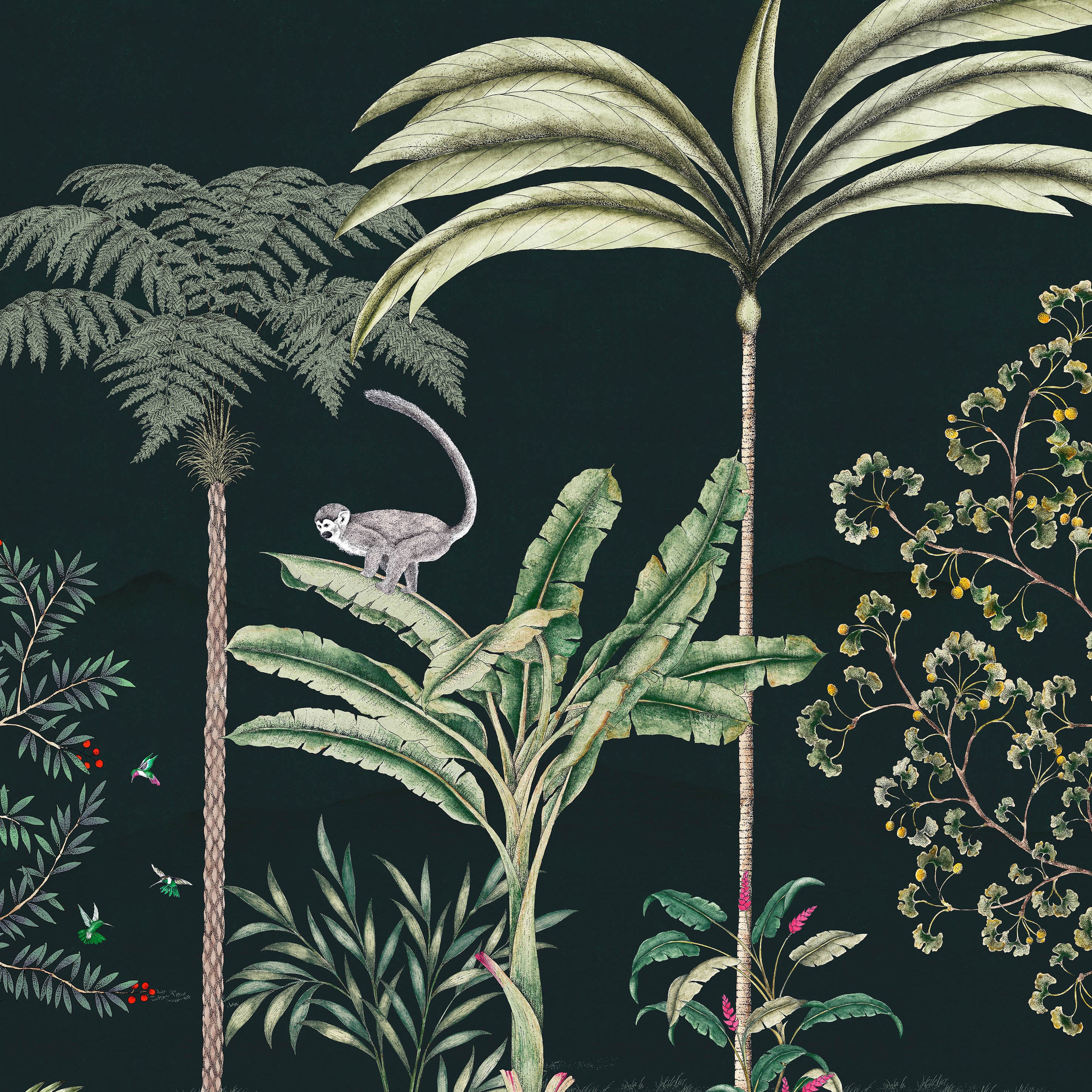 Jardin des Oiseaux Nuit