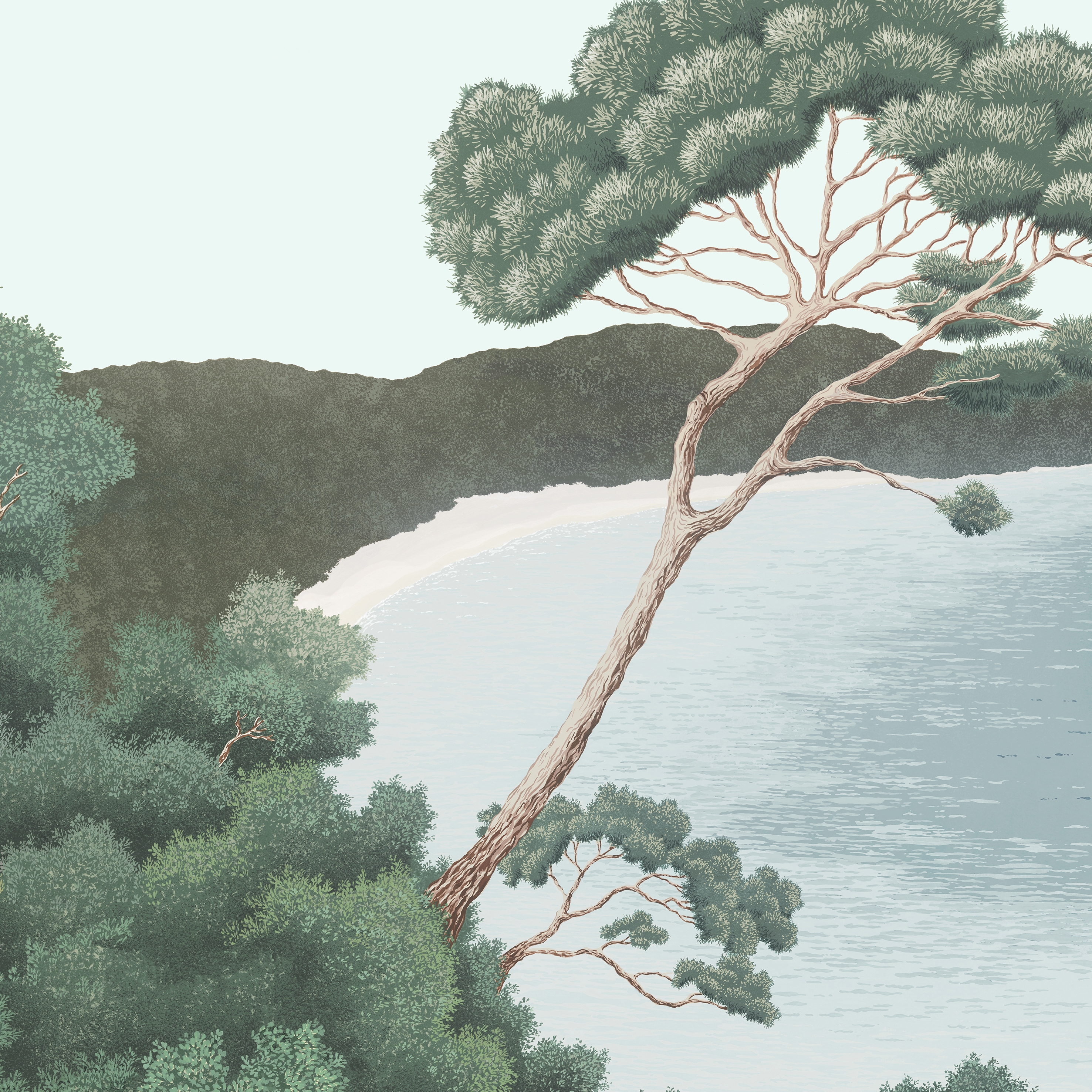 Port-Cros Naturel