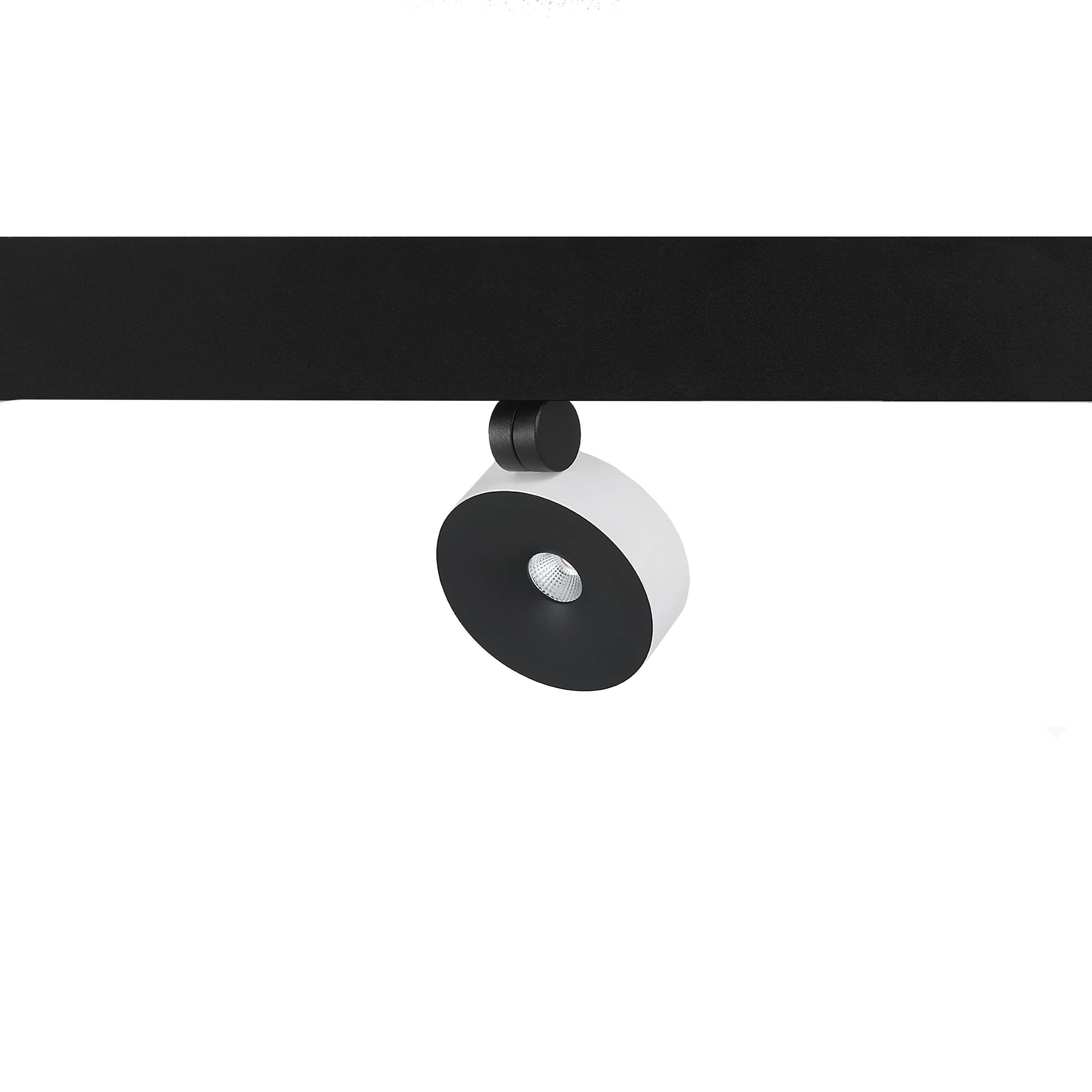 Mostra il prodotto CUP 100 BLACK COVER - Z60 del produttore Zaho