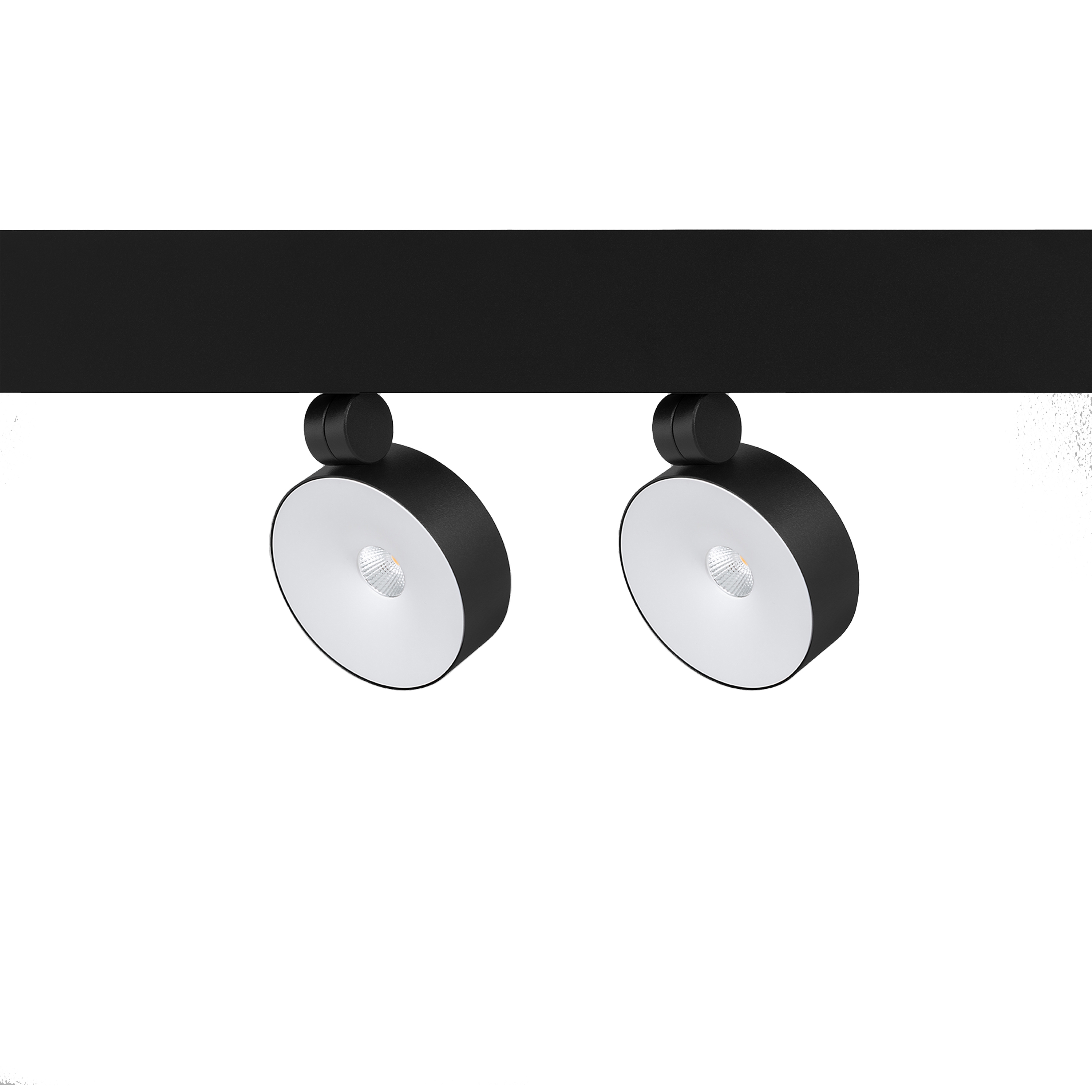 Mostra il prodotto CUP 2X100 BLACK COVER - Z60 del produttore Zaho