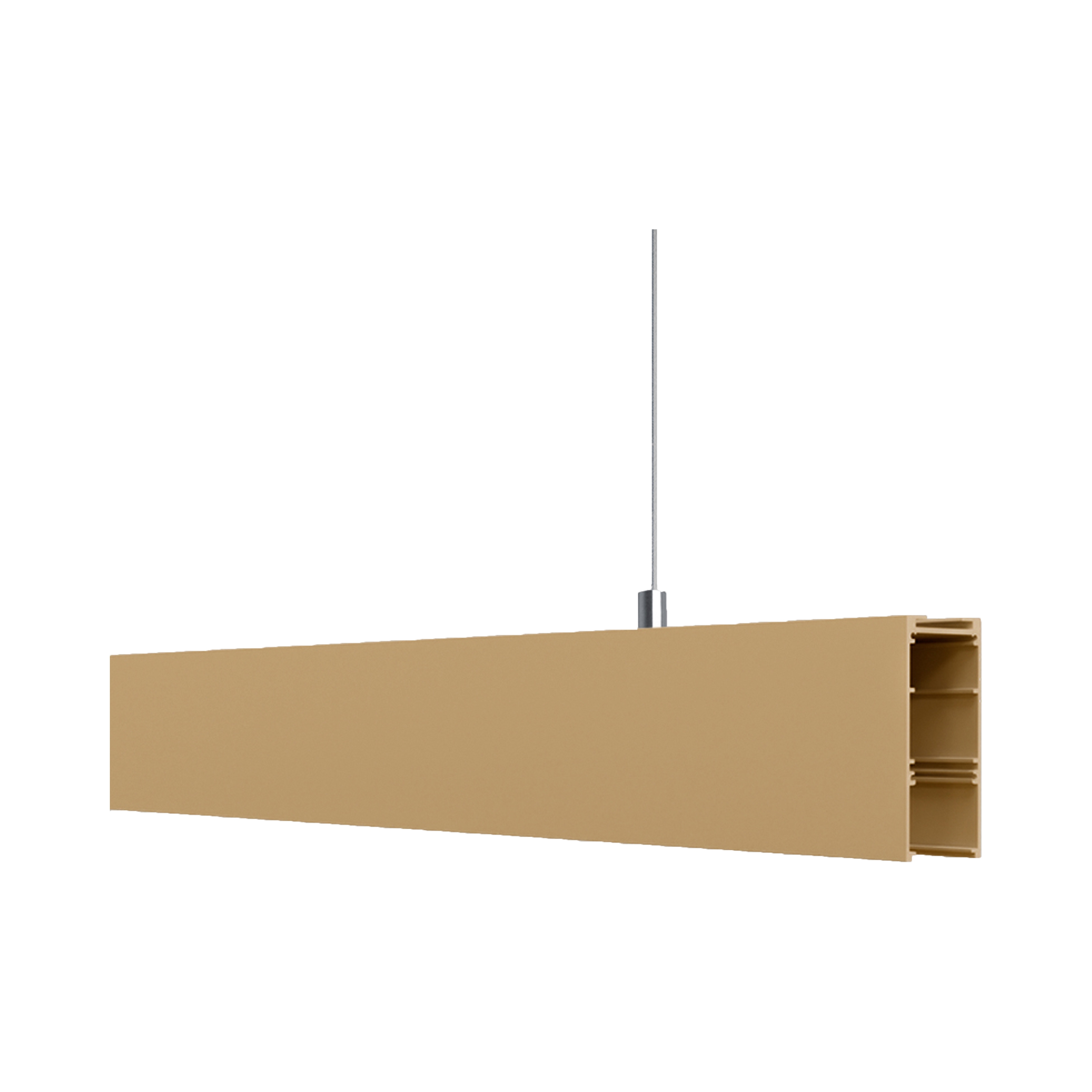 SUSPENDED PROFILE