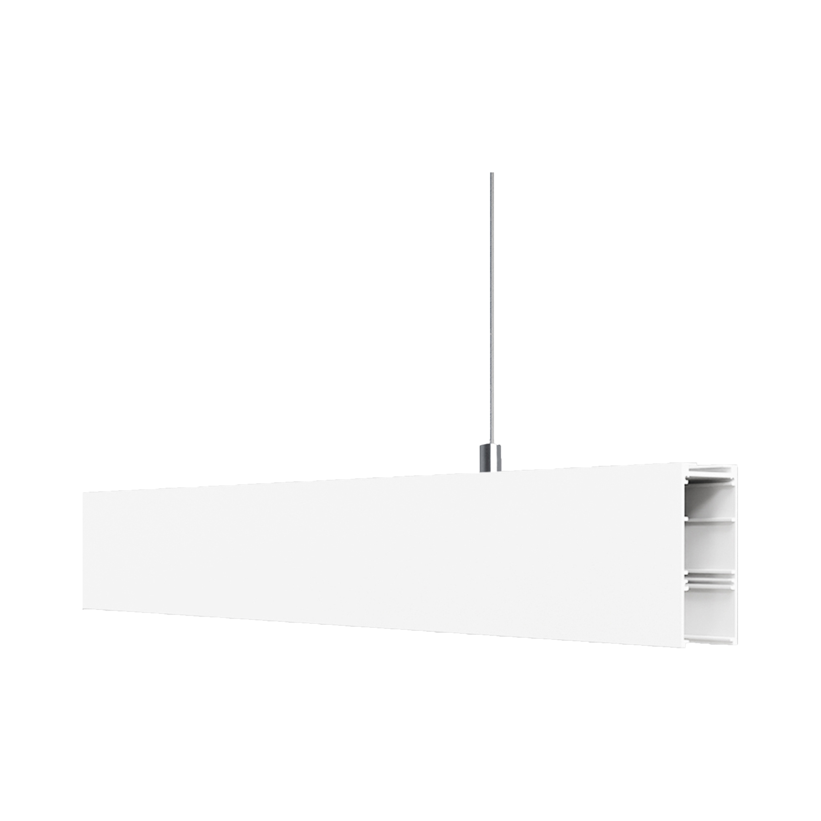 SUSPENDED PROFILE