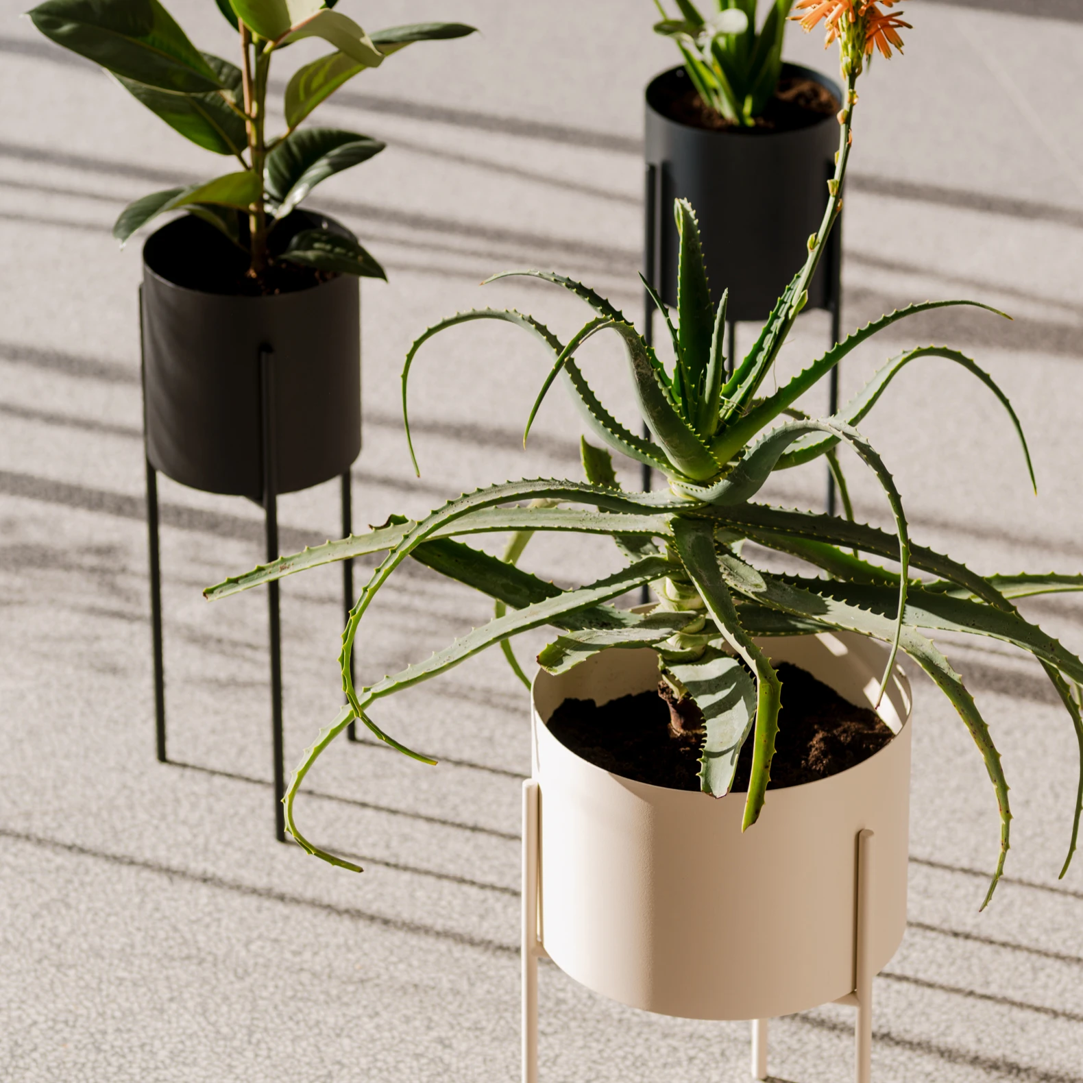 PLANT POTS