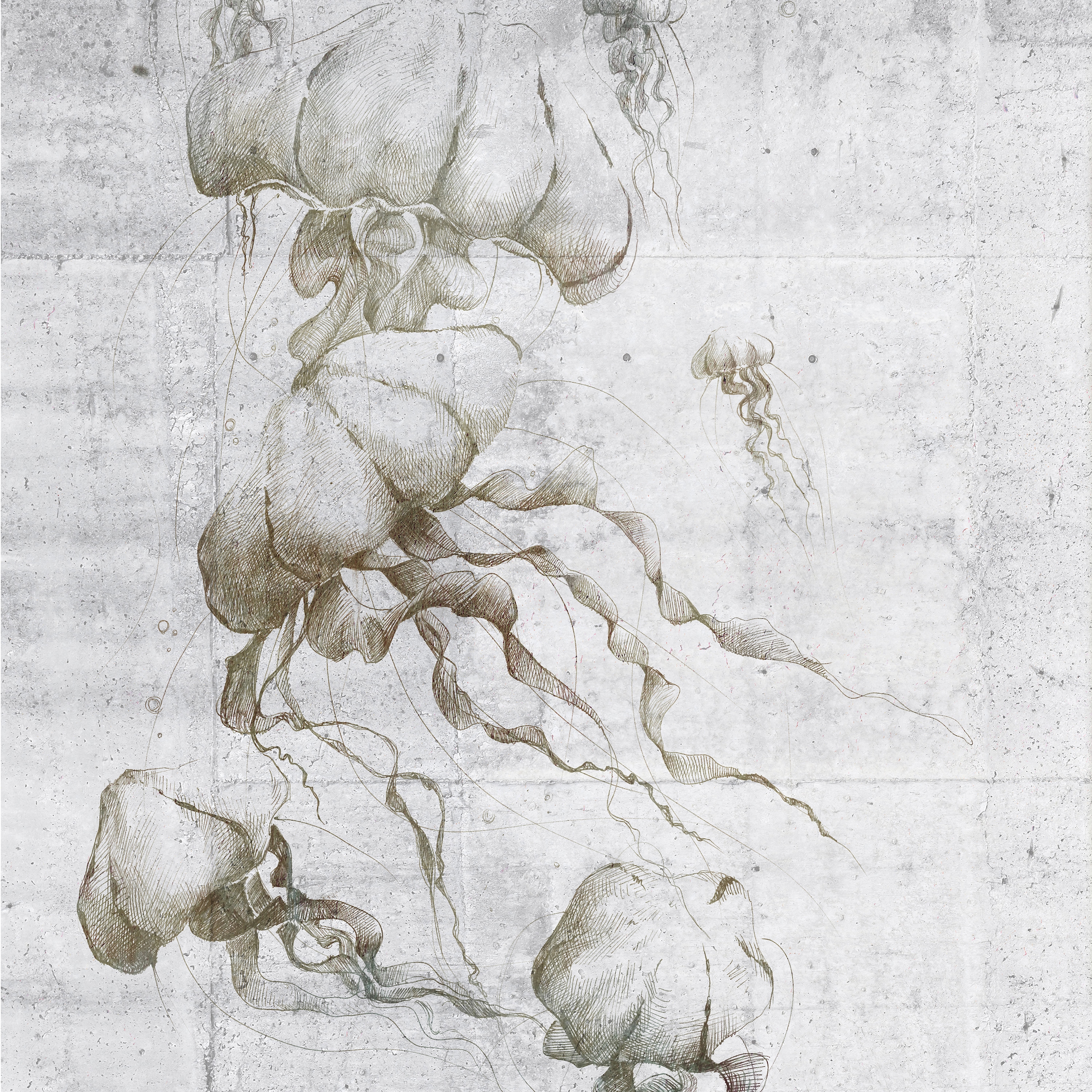 Meduse | 142_005