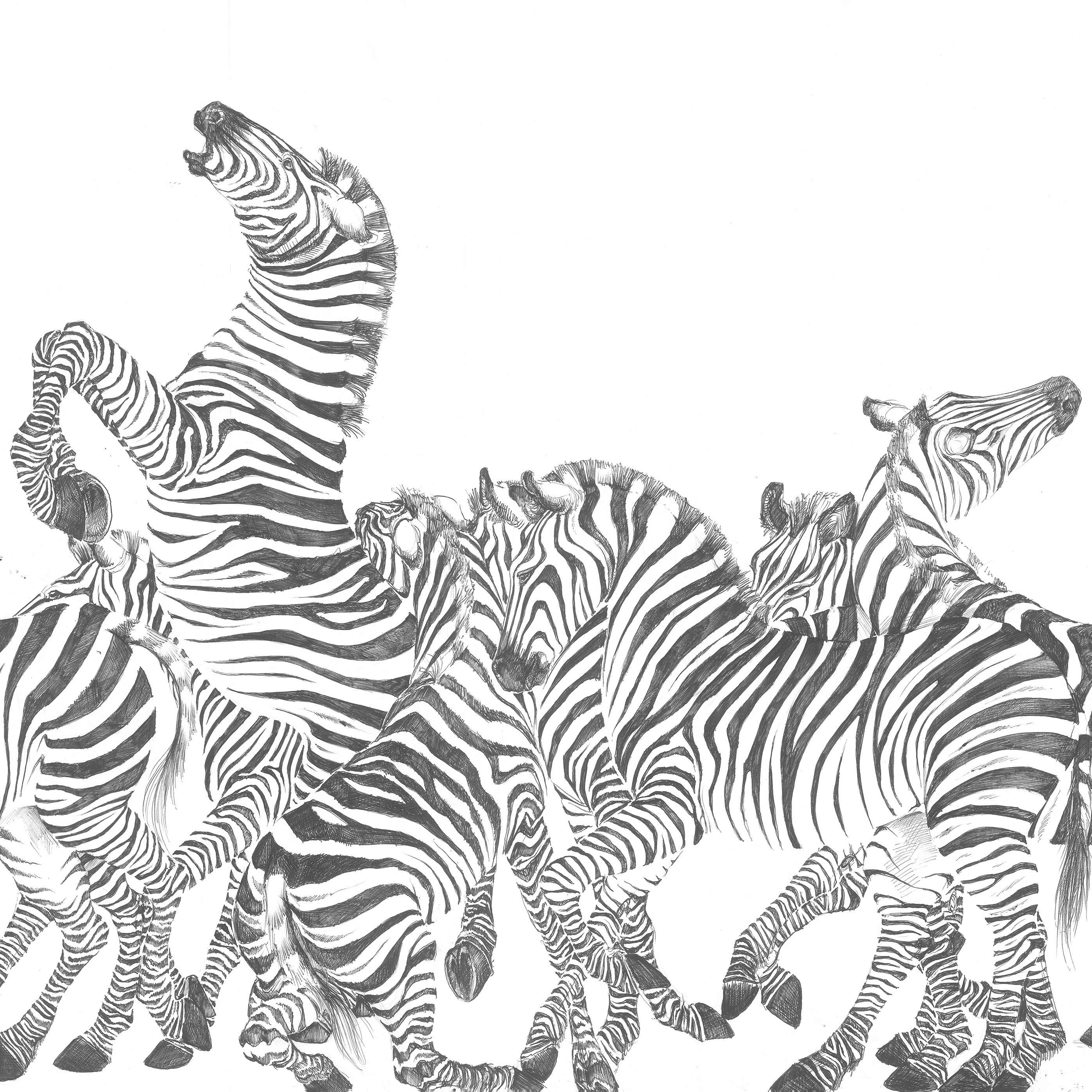 Produkt Zebre | 143_000 des Herstellers Taplab Wall Covering anzeigen