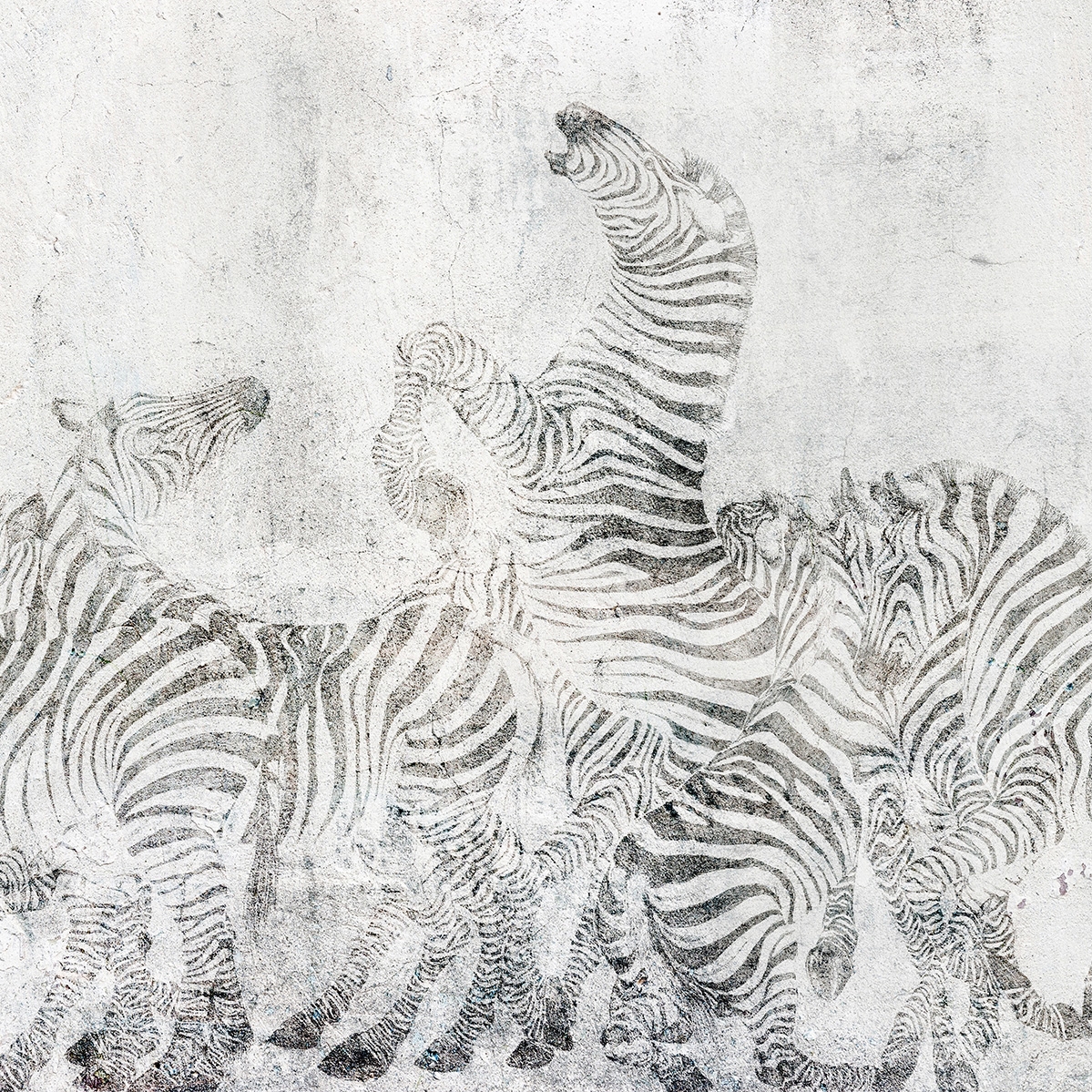 Zebre | 143_002