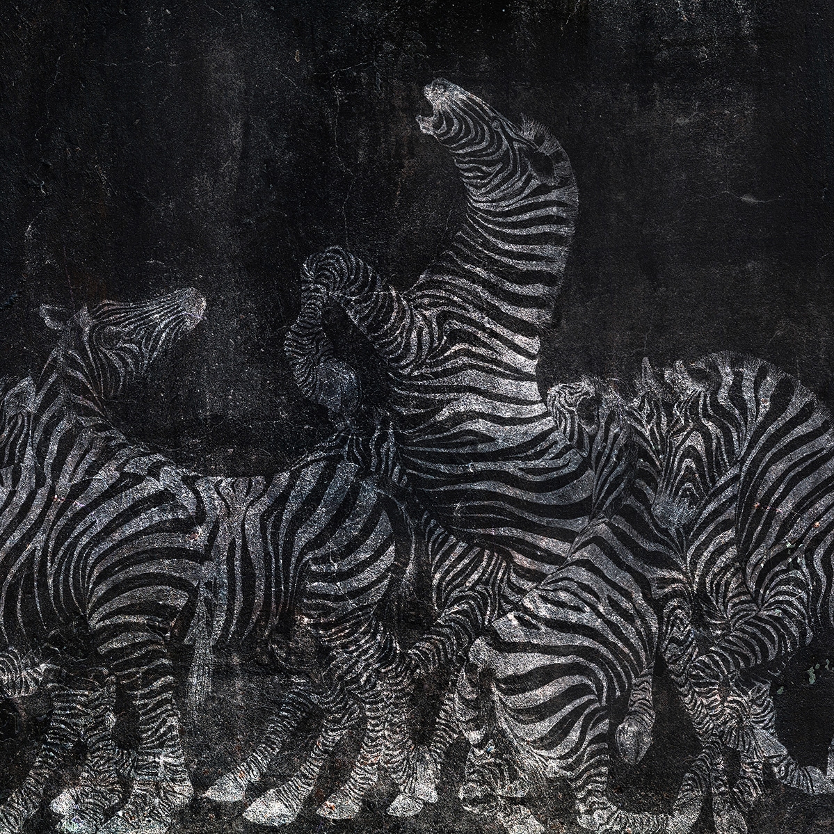 Zebre | 143_003