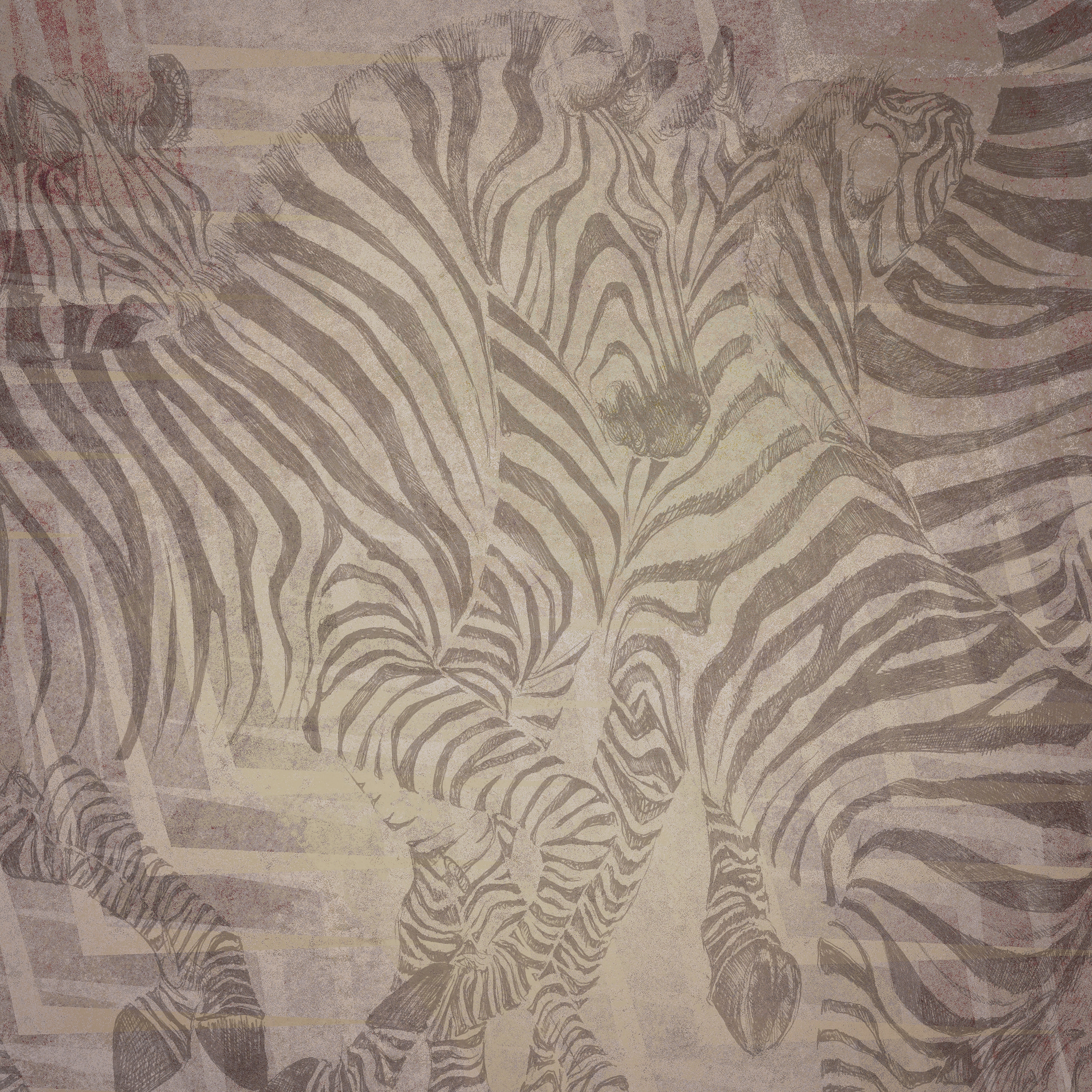 Zebre | 143_006