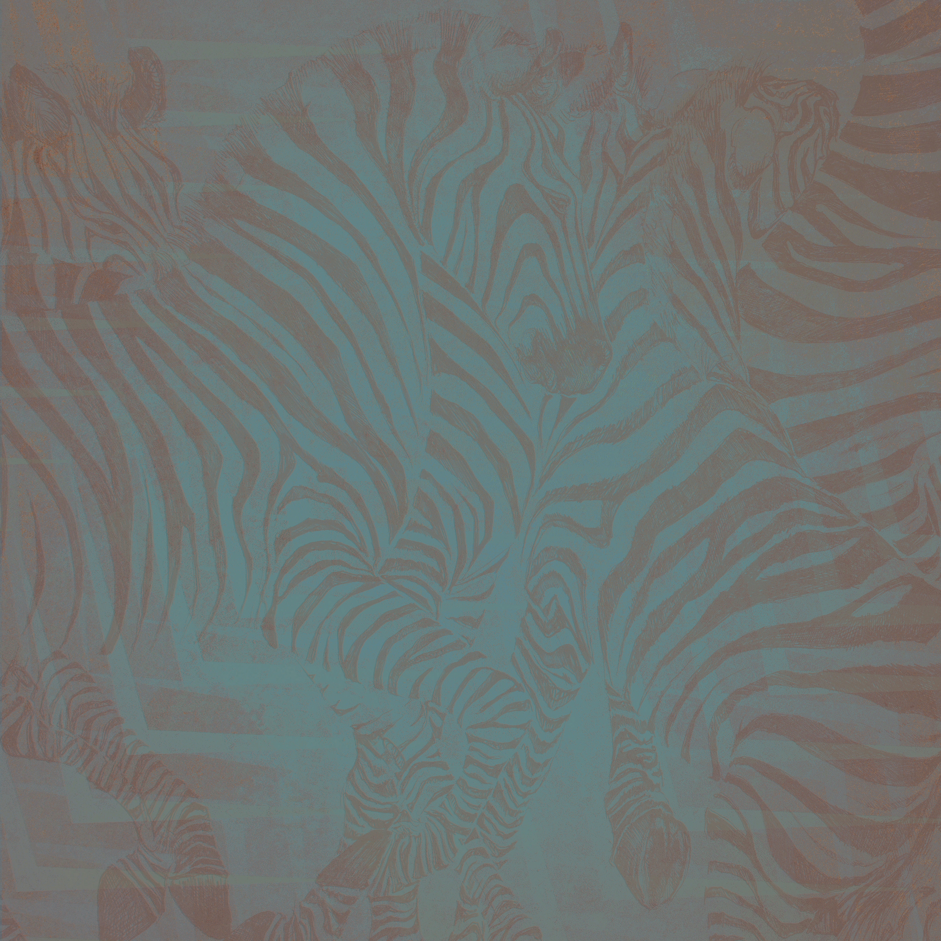 Zebre | 143_007