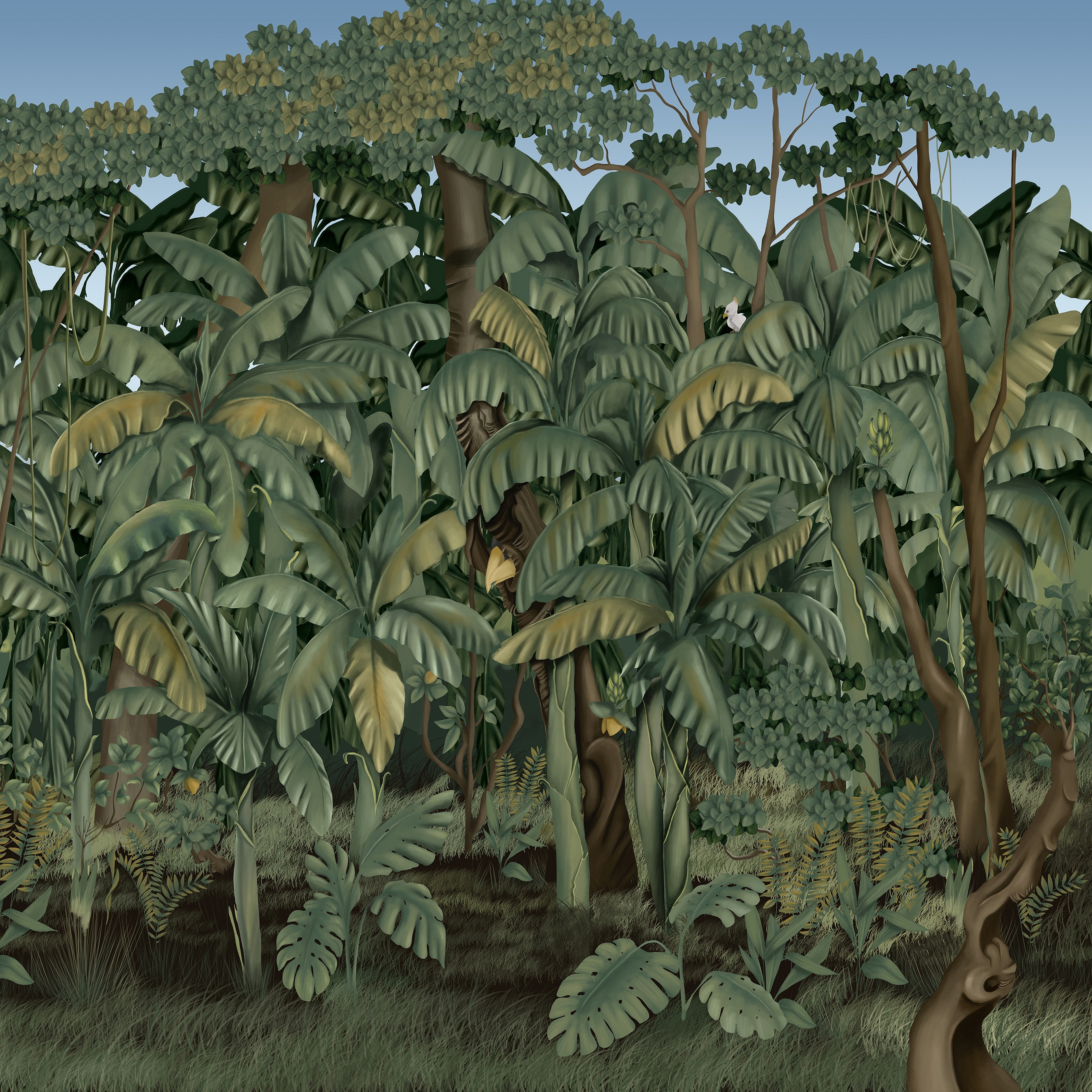 Juruena | 174_002