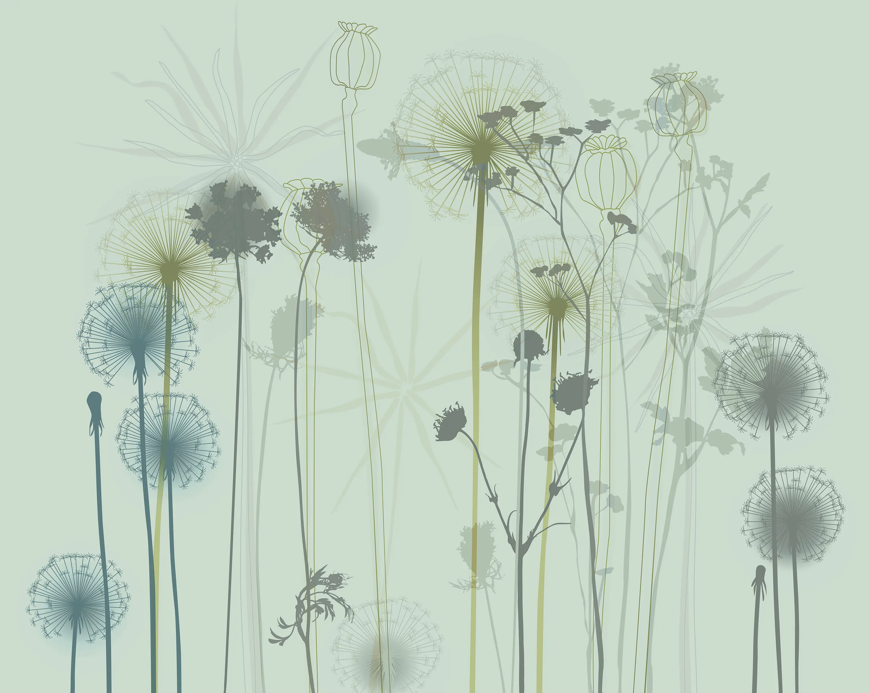 Taplab Wall Covering - Dandelion | 111_001