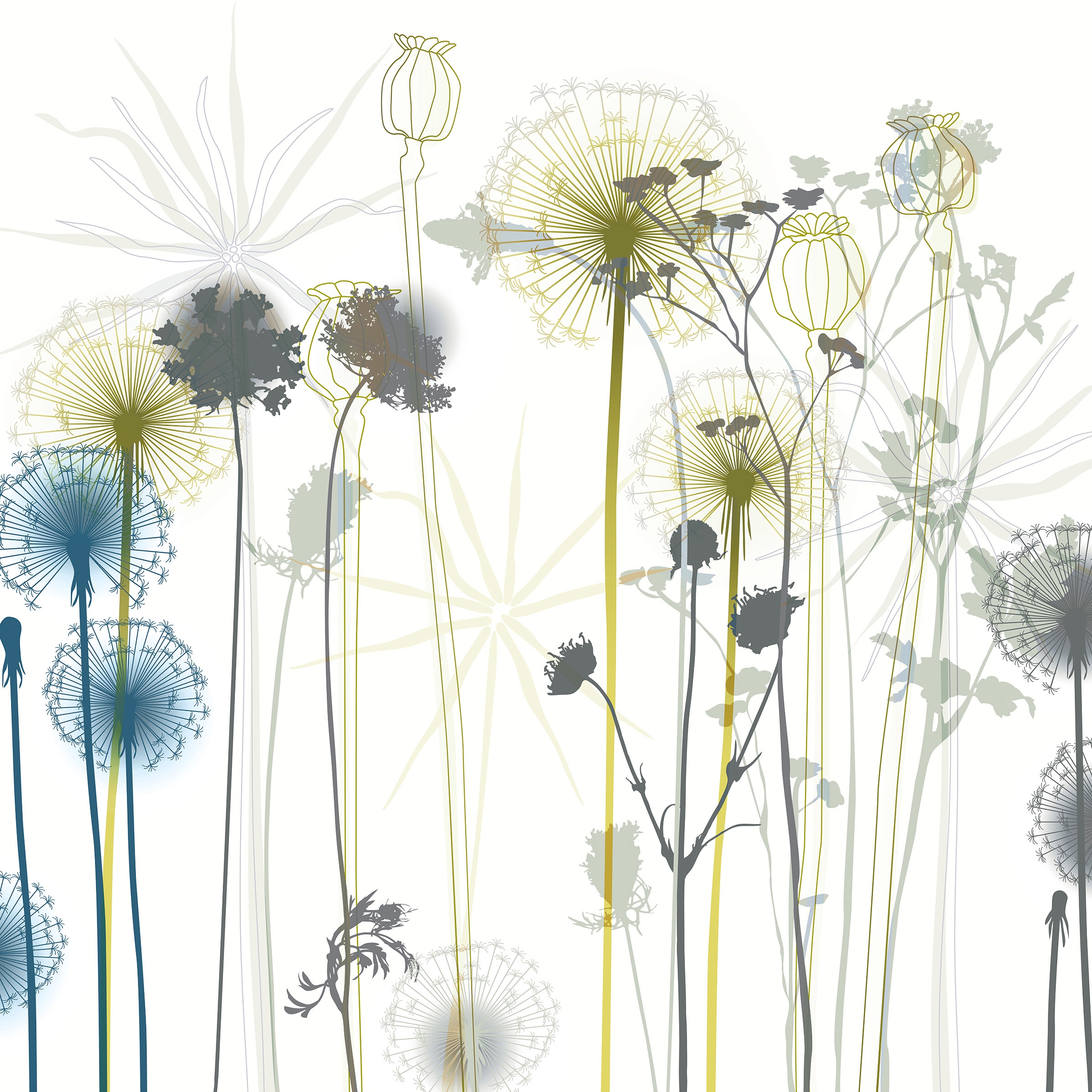 Dandelion | 111_002