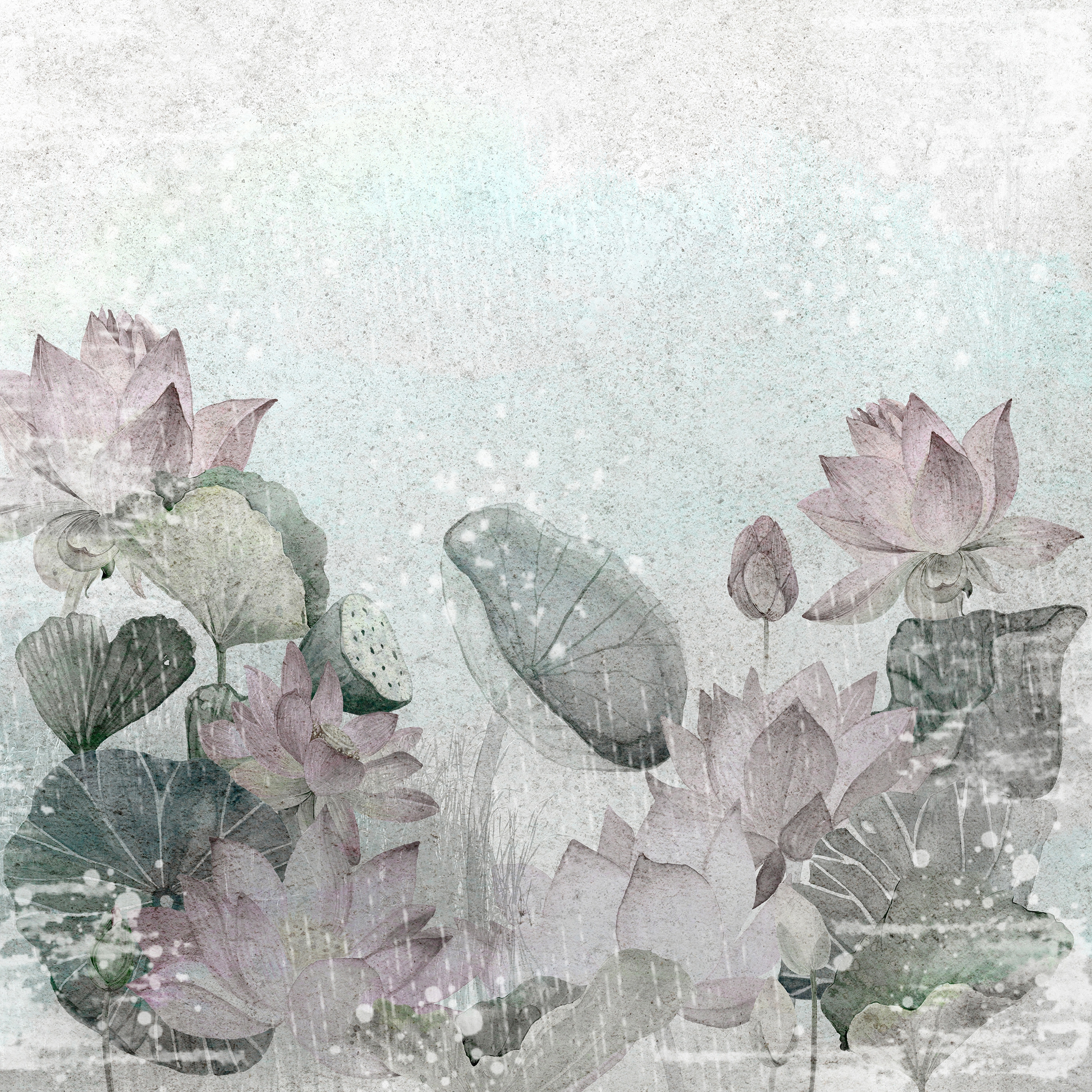 Fiordiloto | 184_003