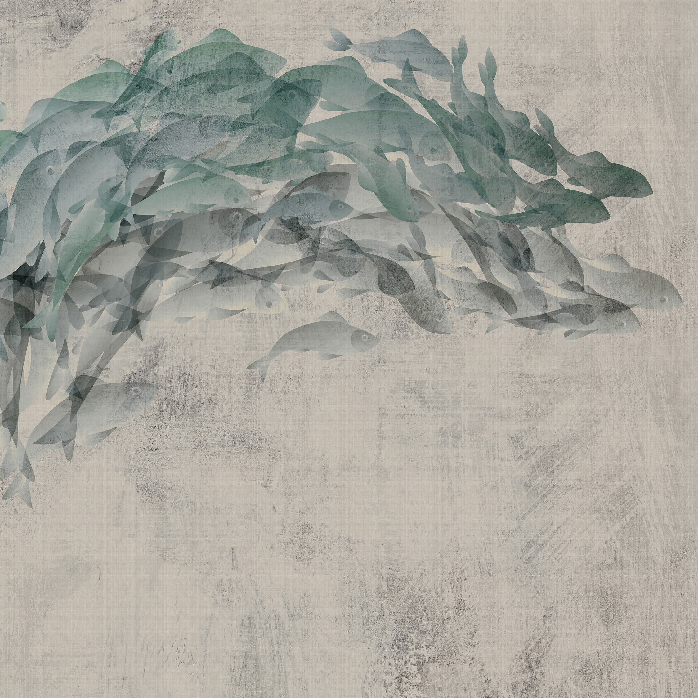 Shoal | 244_002