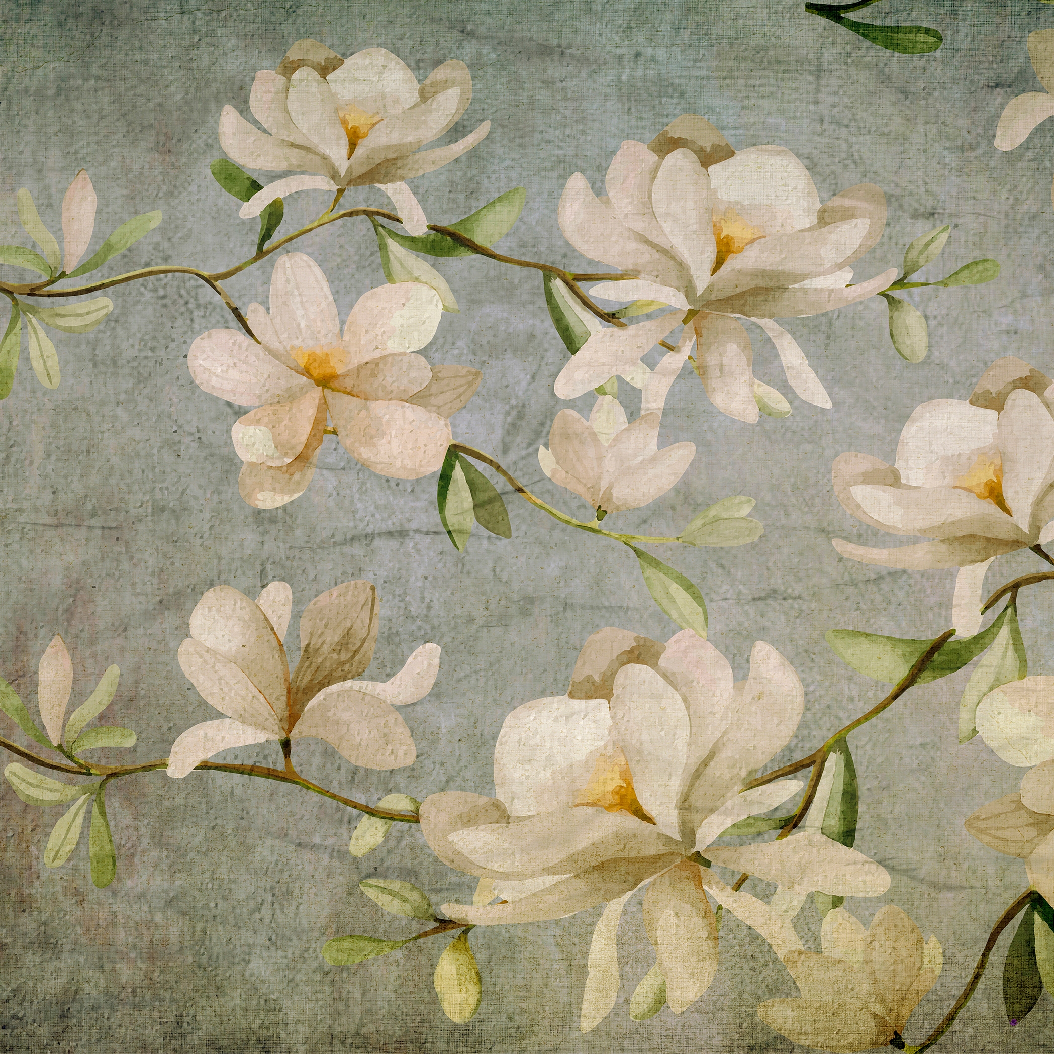 Magnolie | 232_002