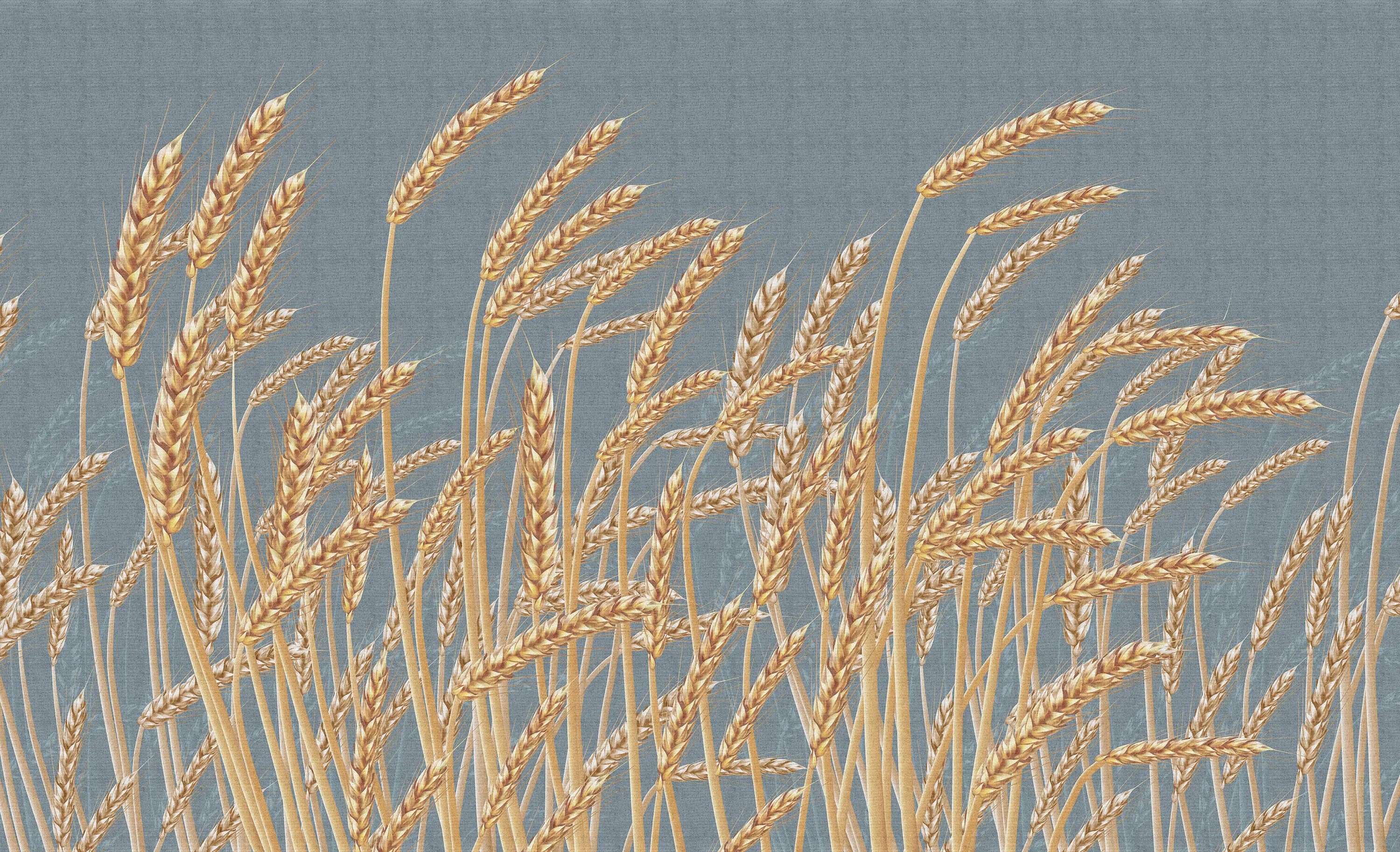 Taplab Wall Covering - Blé | 251_001