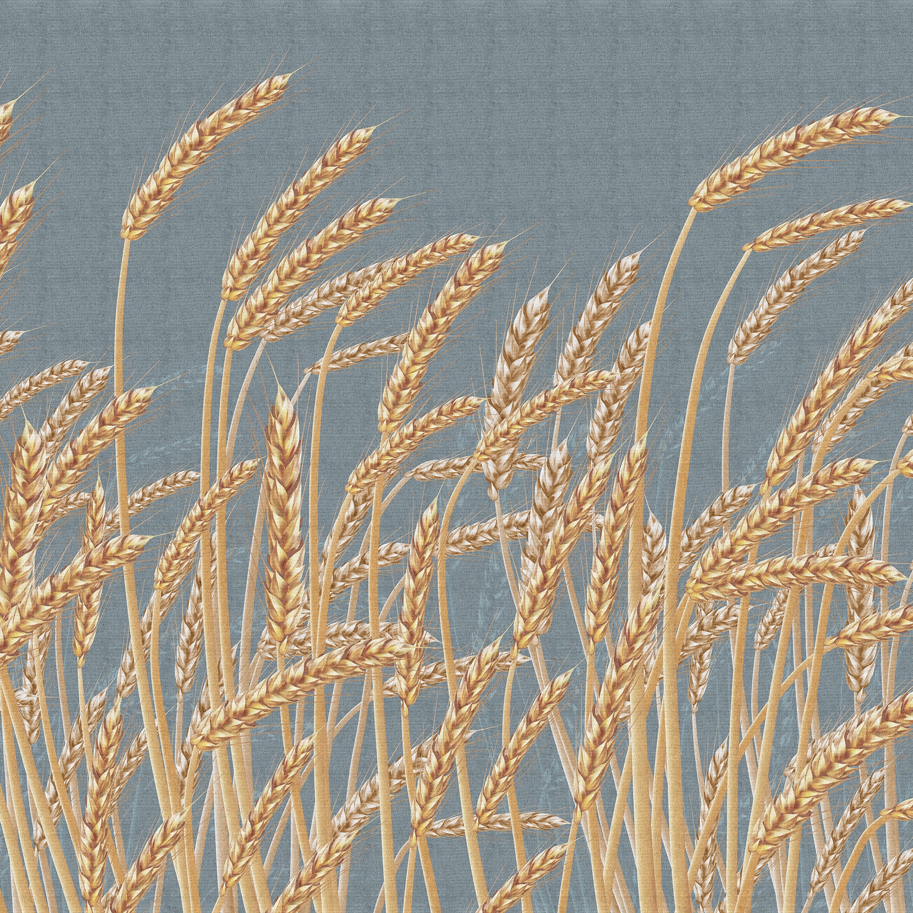 Produkt Blé | 251_001 des Herstellers Taplab Wall Covering anzeigen
